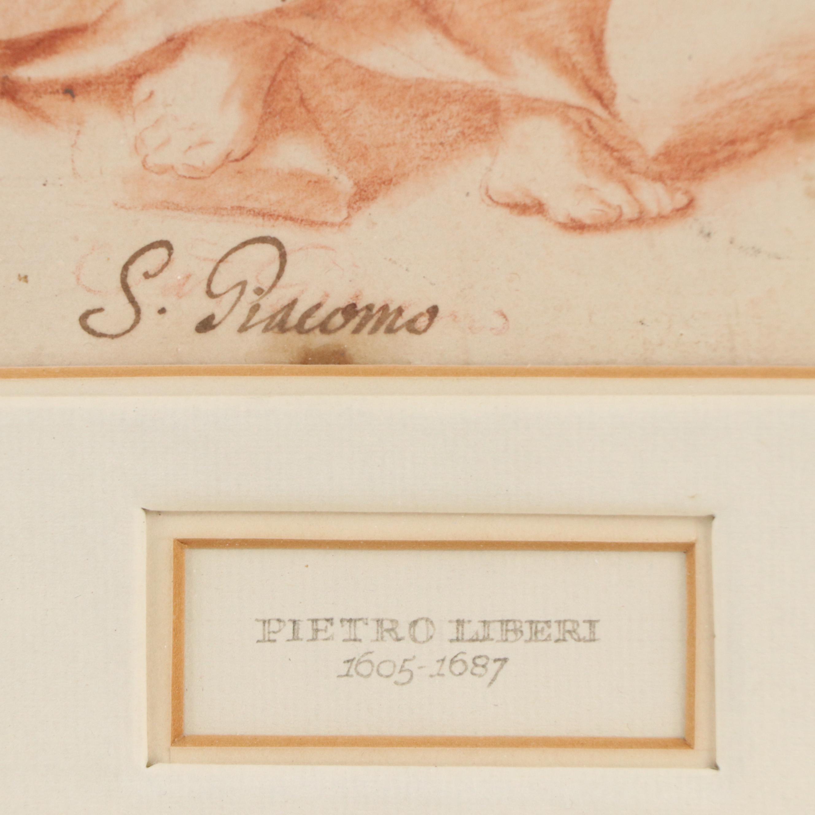 Attributed to Pietro Liberi Red Chalk Drawing "San Giacomo"