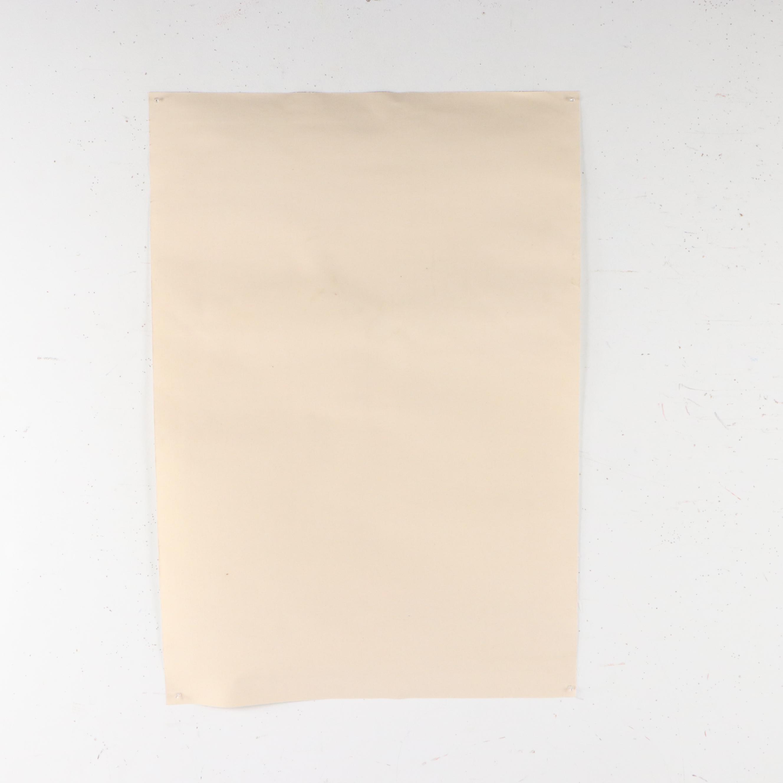 "The Young Racers" Offset Lithograph Movie Poster