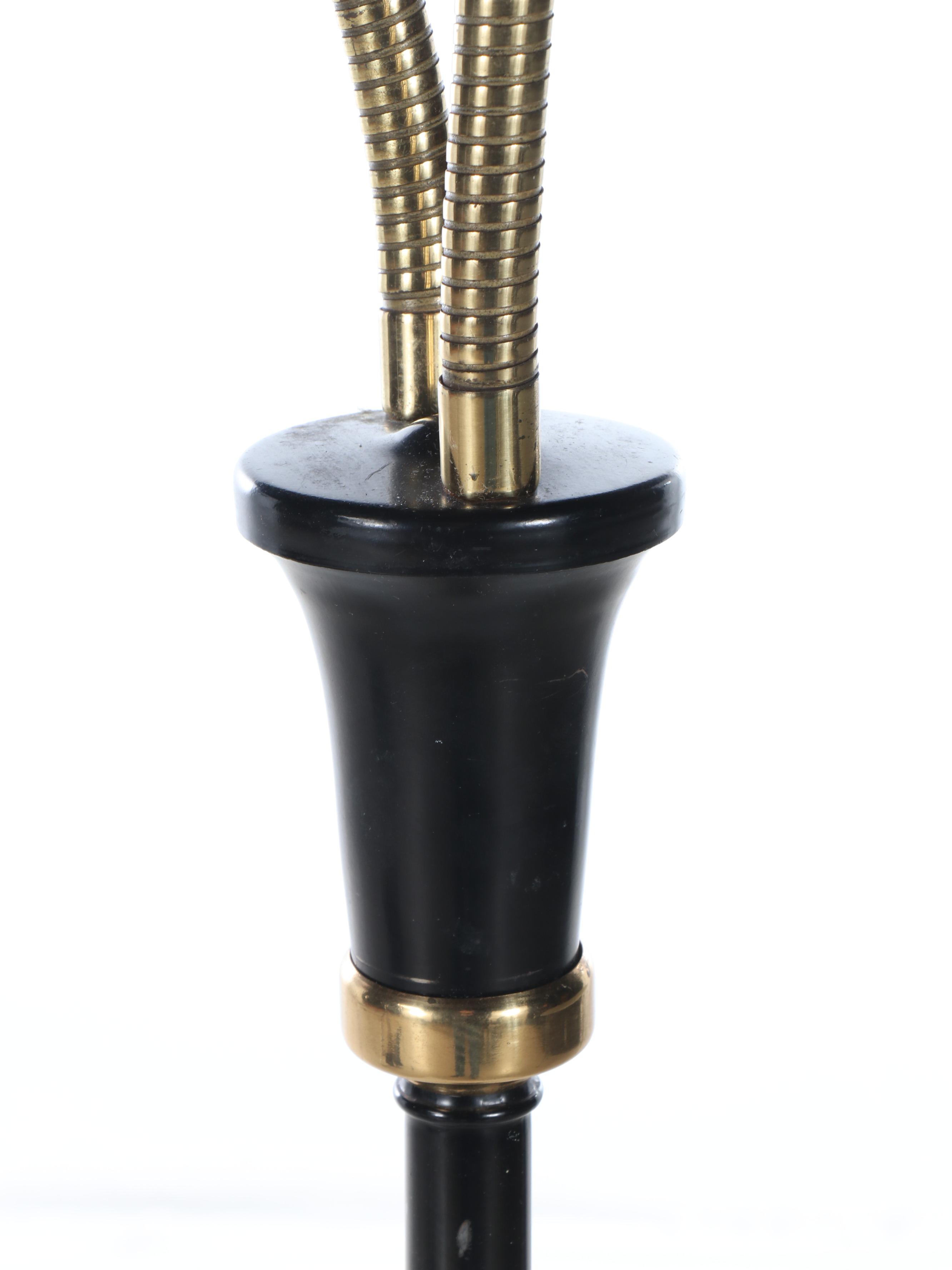 Brass and Matter Black Finish Double Gooseneck Adjustable Floor Lamp