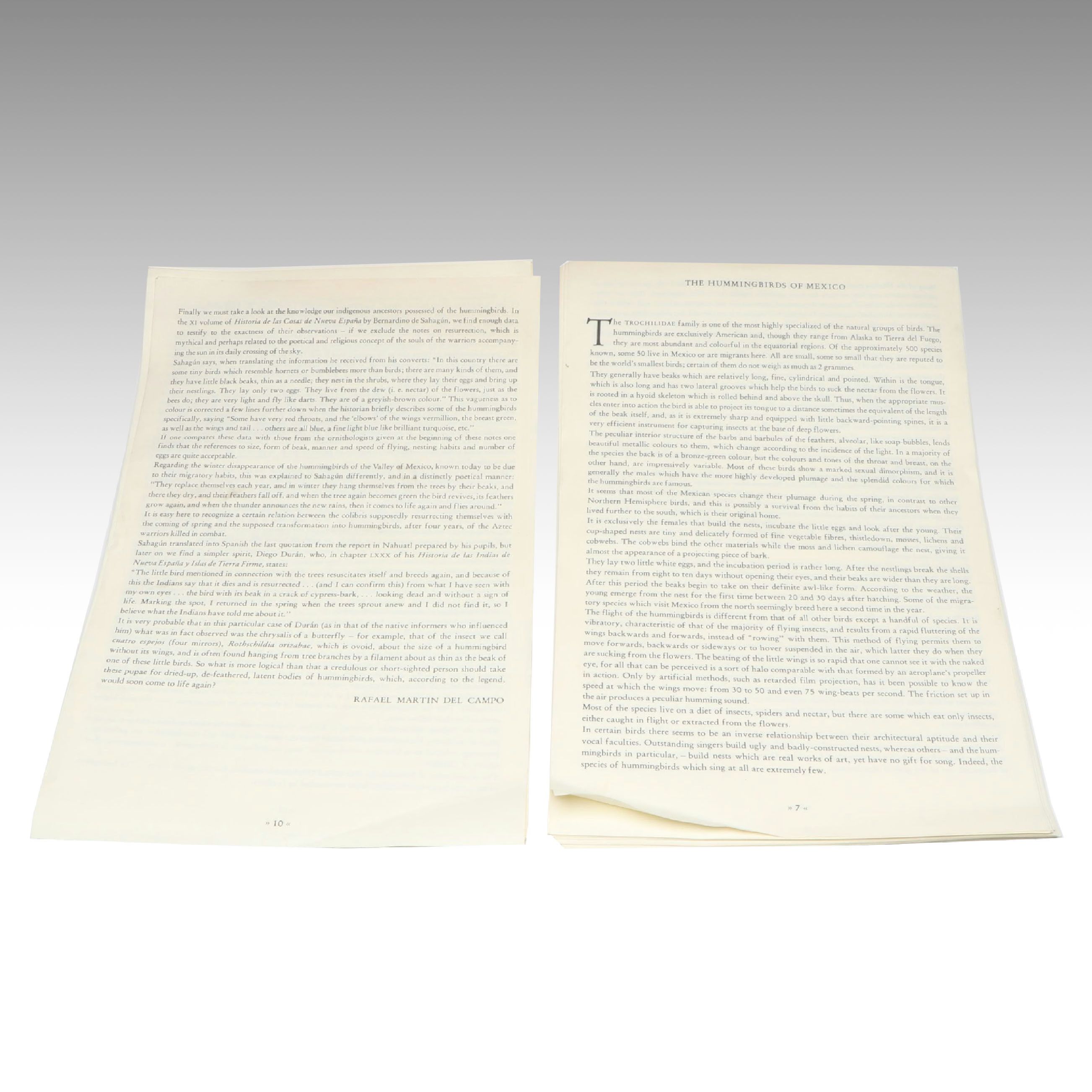 "The Hummingbirds of Mexico" Excerpt by  Rafael Martin del Campo