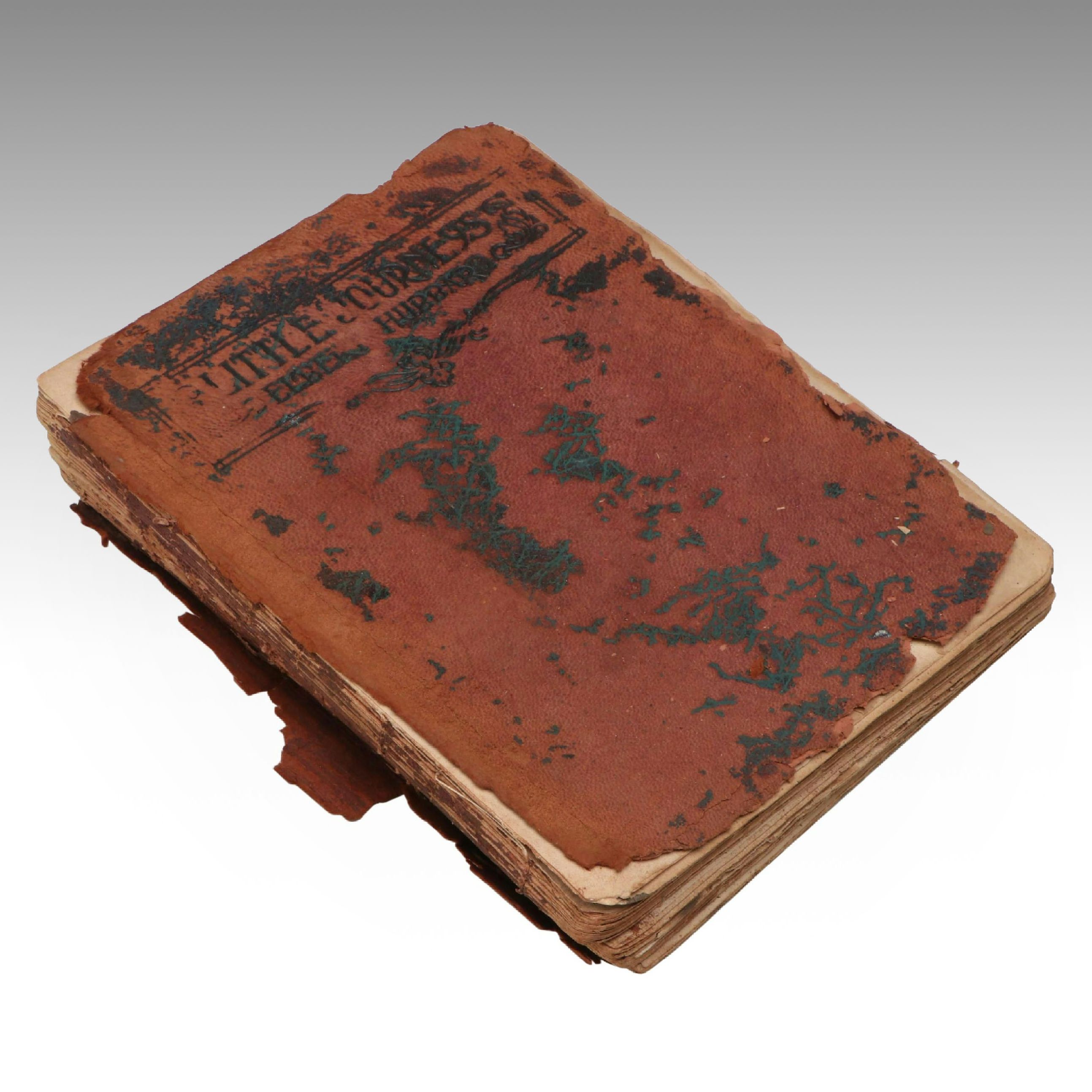 "Little Journeys to the Homes of Great Lovers" by Elbert Hubbard, 1913