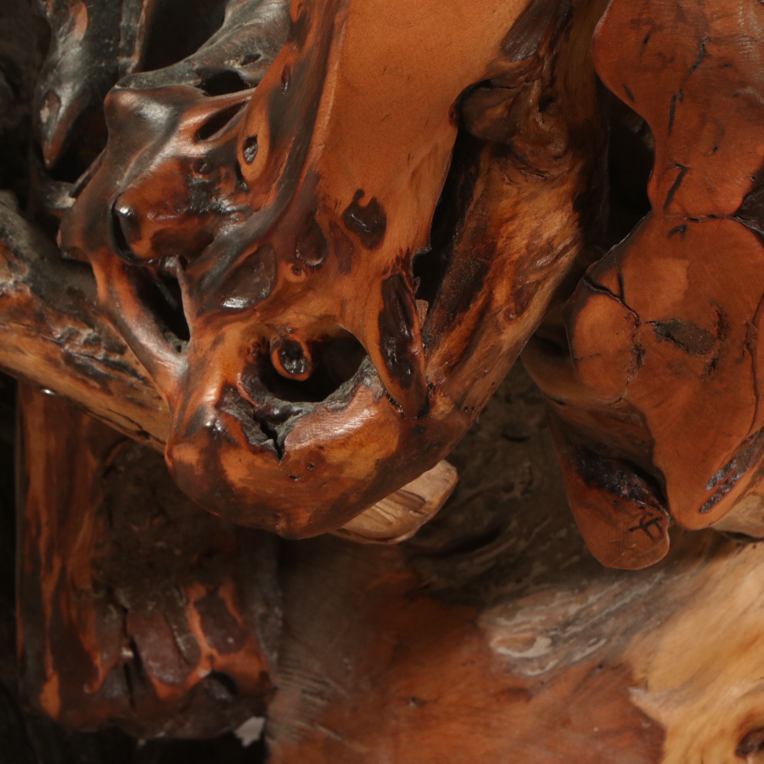 Teak Wood Root Ball Glass Top Coffee Table, Contemporary