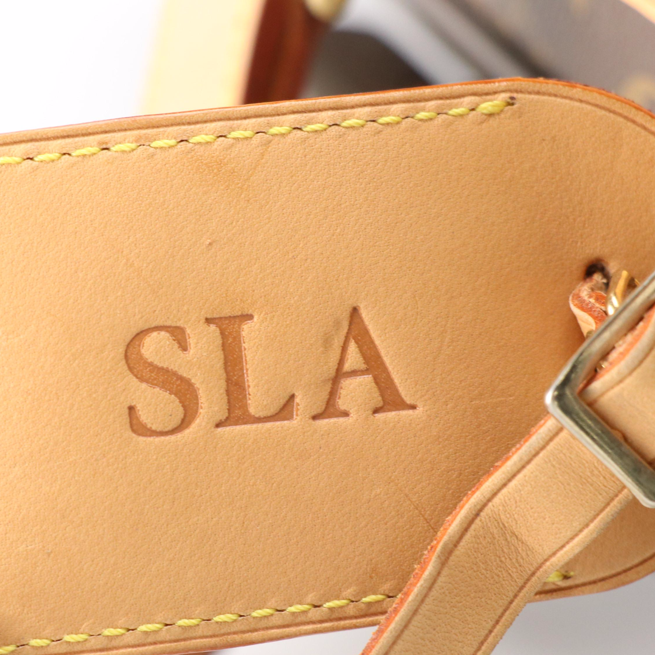 Louis Vuitton Pégase 65 Rolling Suitcase in Monogram Canvas and Leather