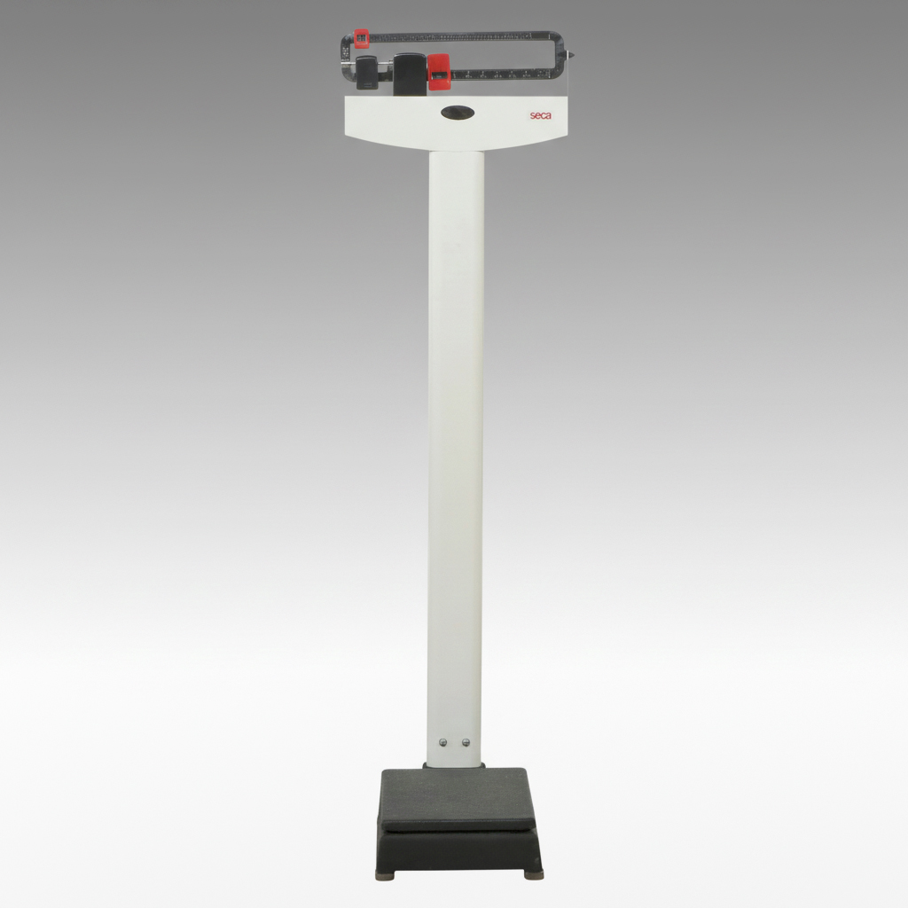 Seca Medical Patient Scale