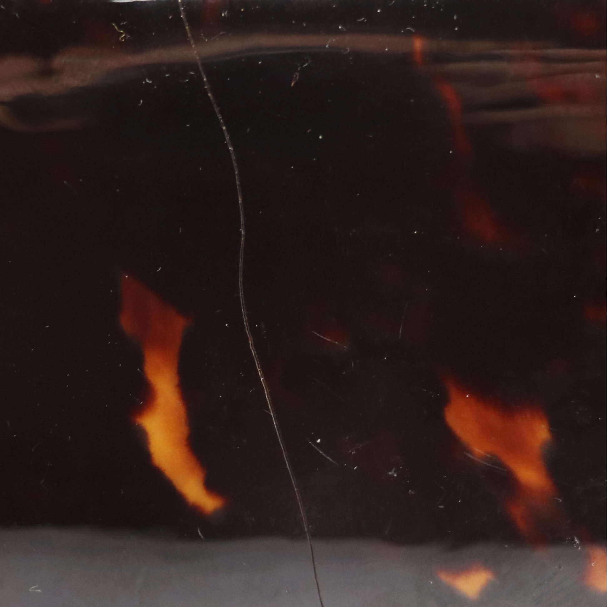 Tortoiseshell Convertible Evening Clutches