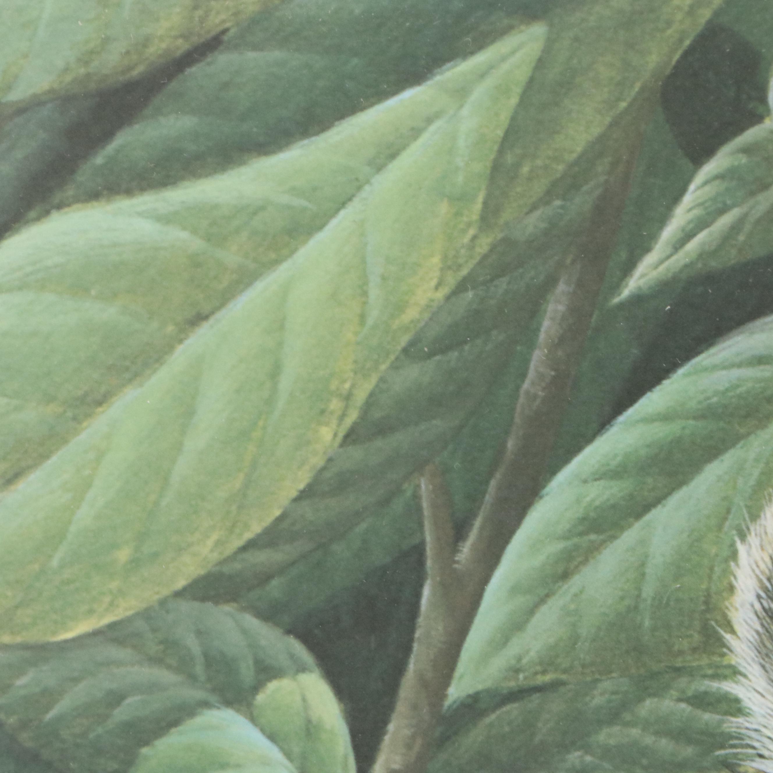 John Ruthven Offset Lithograph "Papaw Bandit"