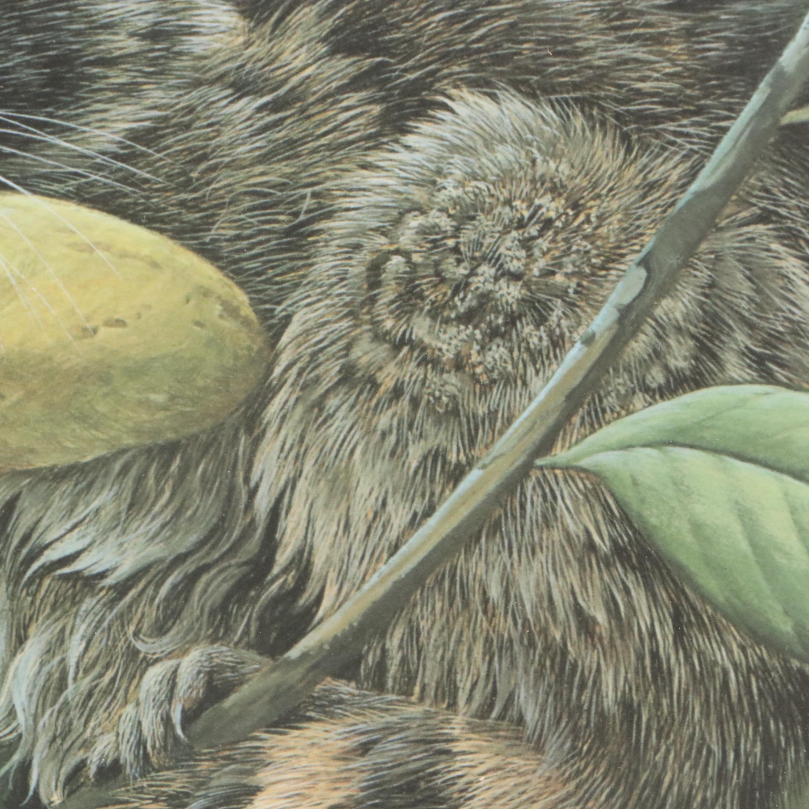 John Ruthven Offset Lithograph "Papaw Bandit"