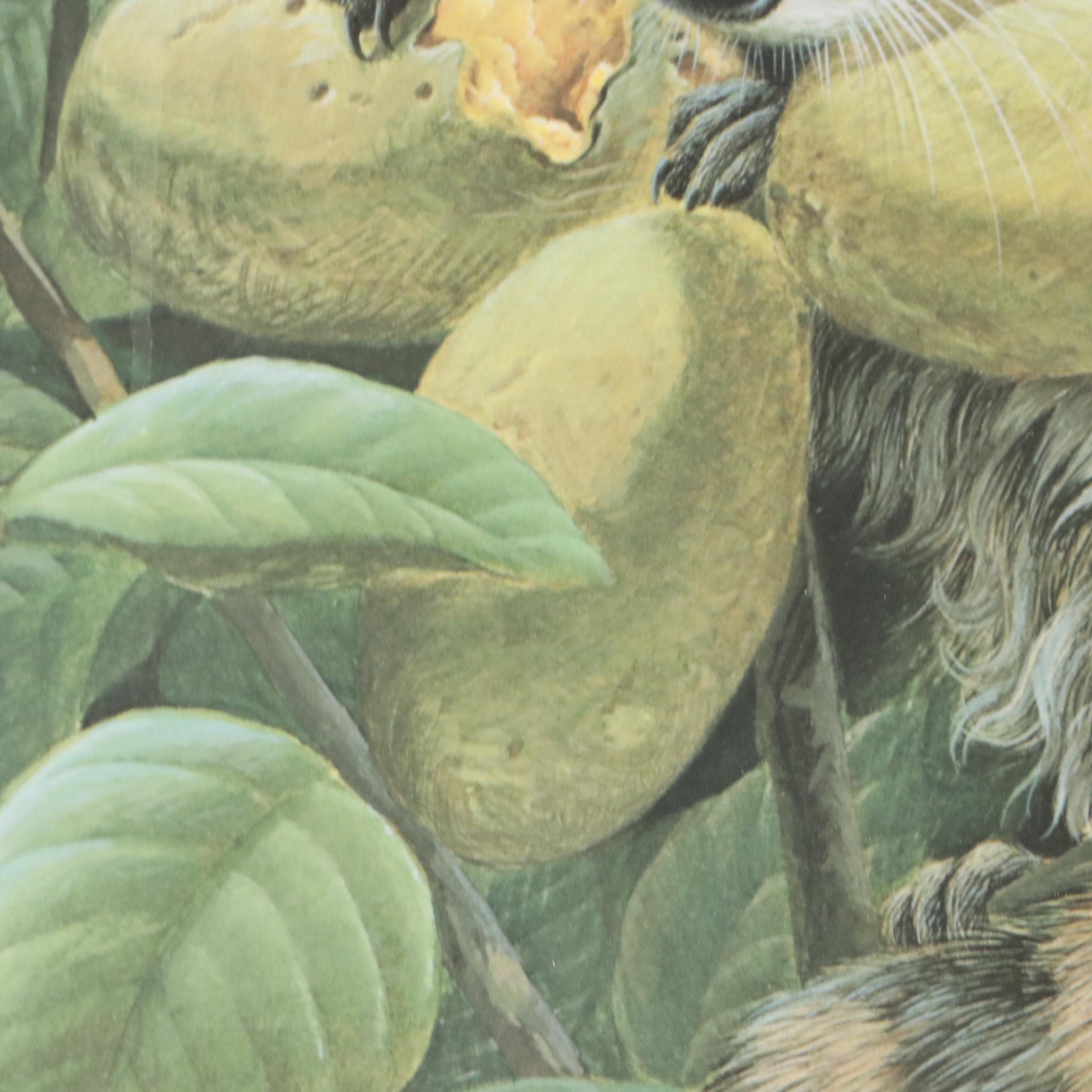 John Ruthven Offset Lithograph "Papaw Bandit"