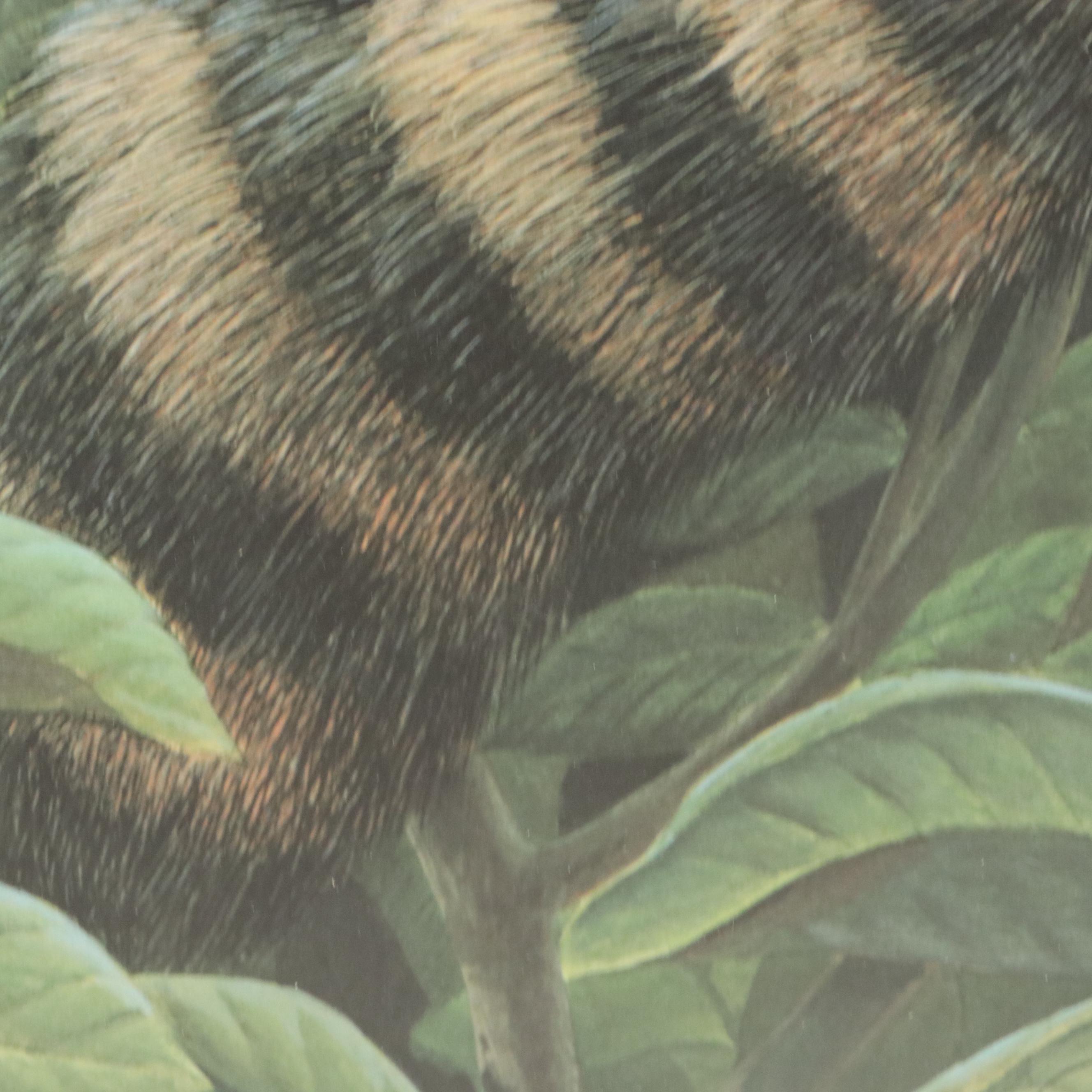 John Ruthven Offset Lithograph "Papaw Bandit"