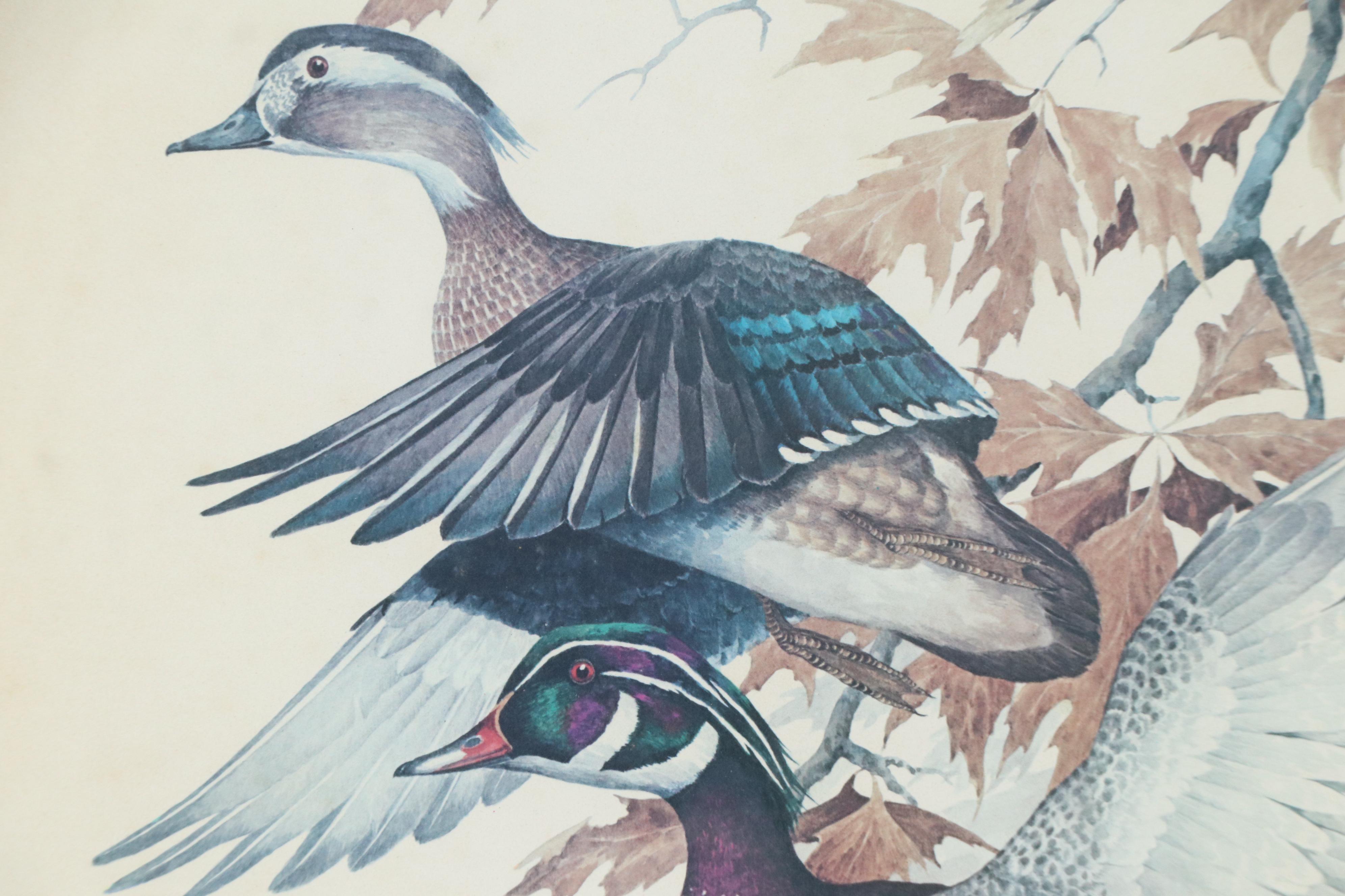 Offset Lithograph After Charles E. Murphy "Wood Ducks in the Oaks," 1980s