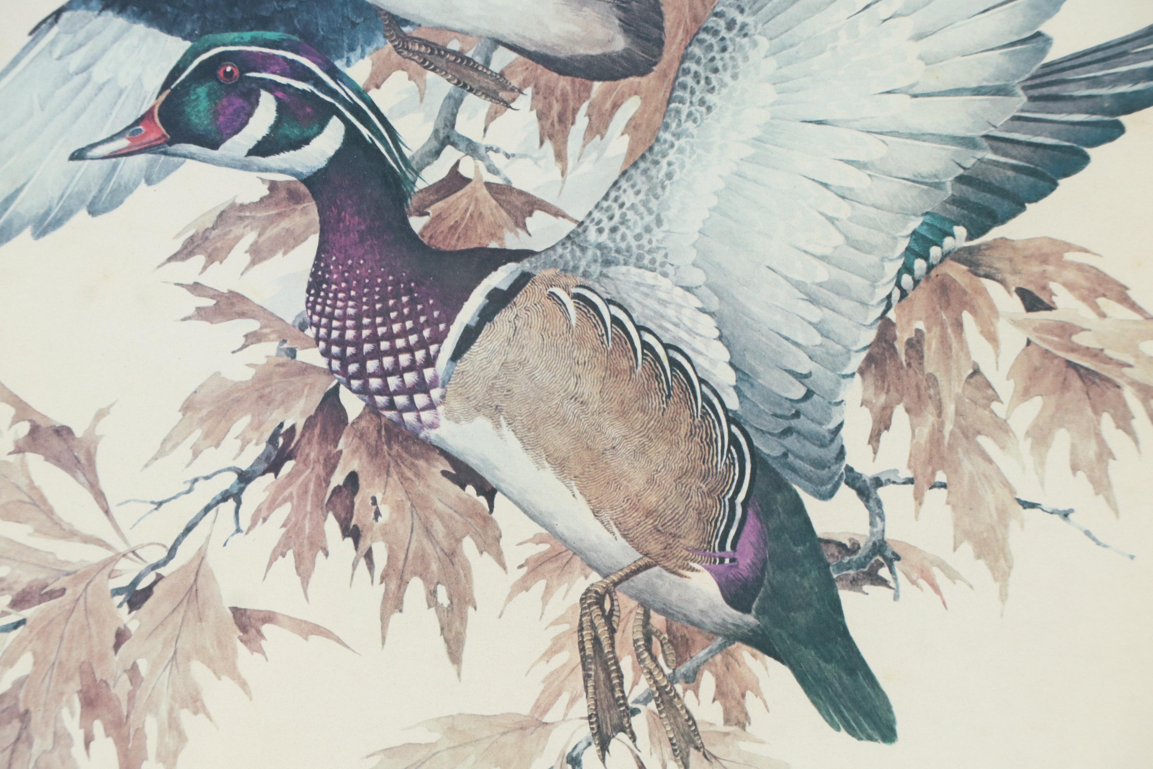 Offset Lithograph After Charles E. Murphy "Wood Ducks in the Oaks," 1980s
