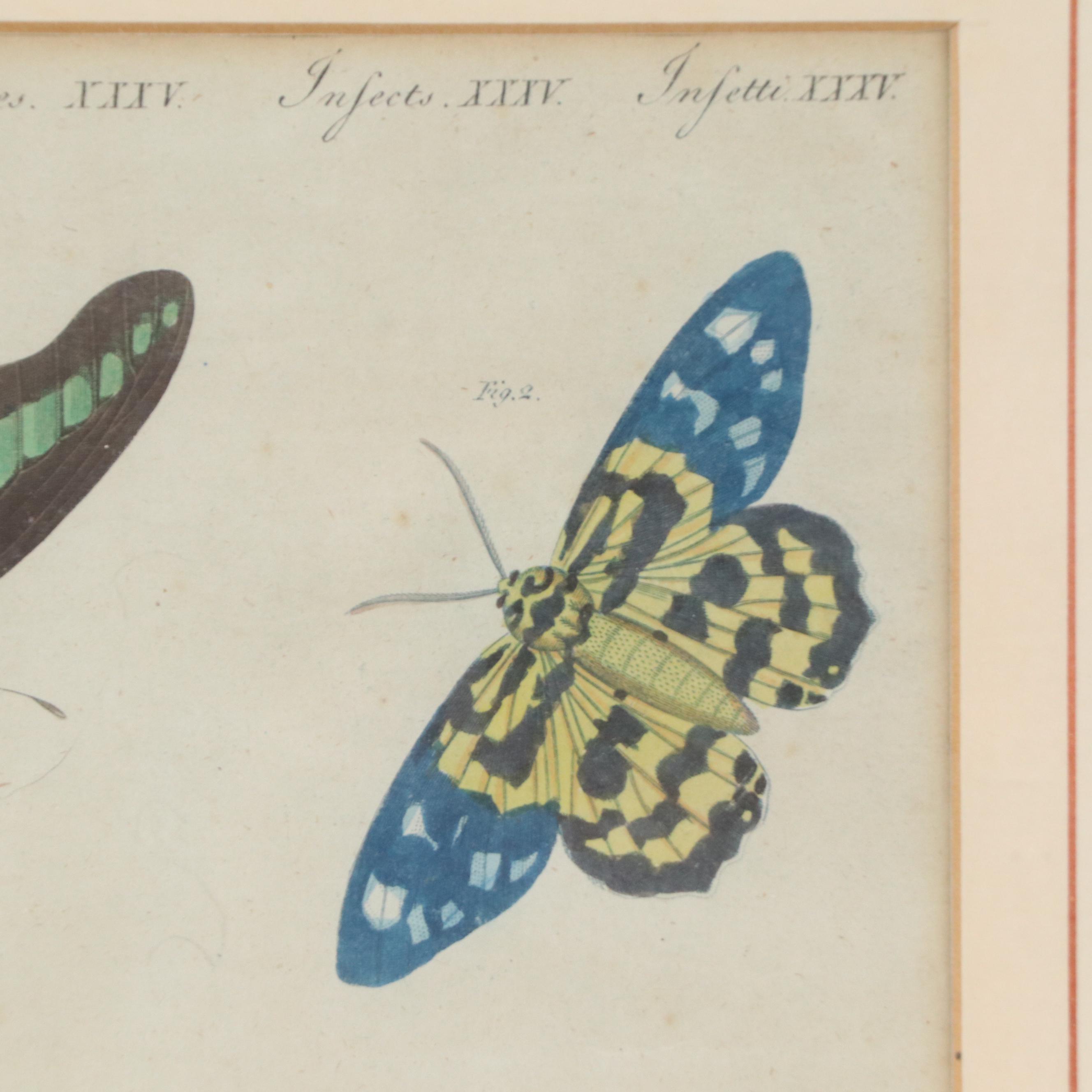 Hand-Colored Engraving of Butterflies from Bertuch’s Bilderbuch für Kinder