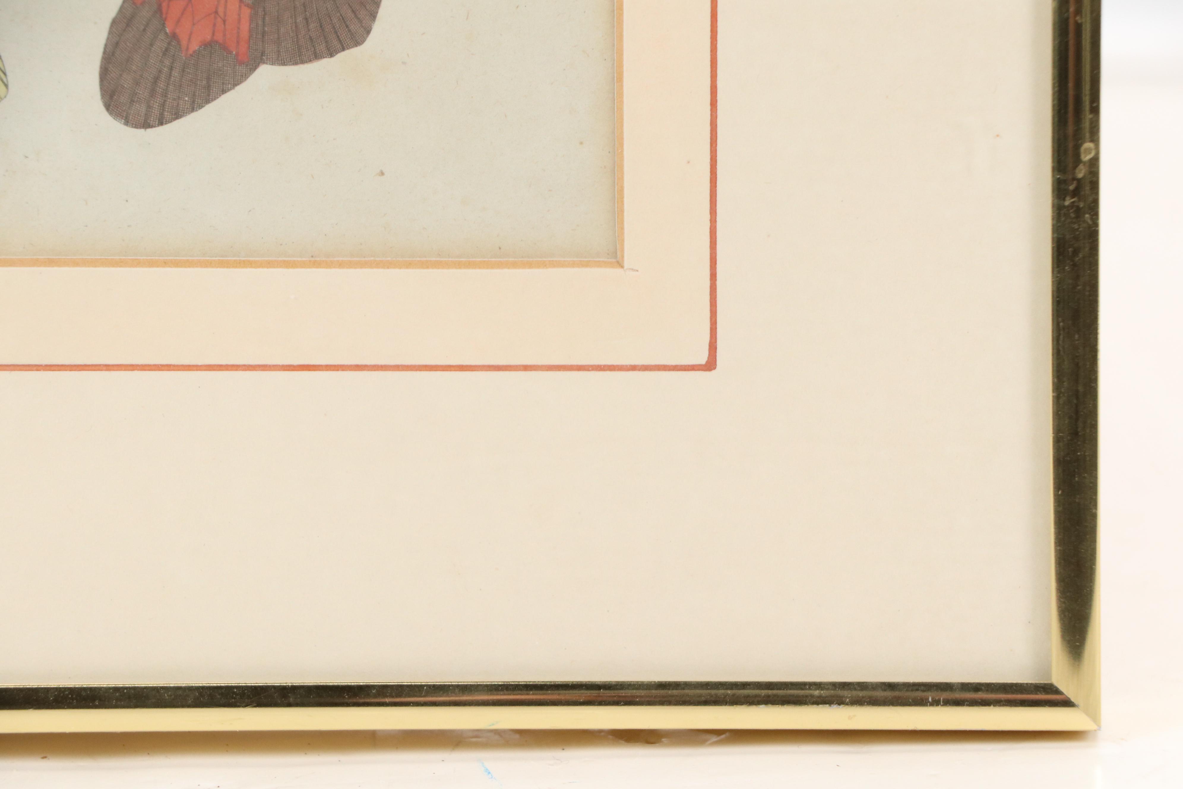 Hand-Colored Engraving of Butterflies from Bertuch’s Bilderbuch für Kinder