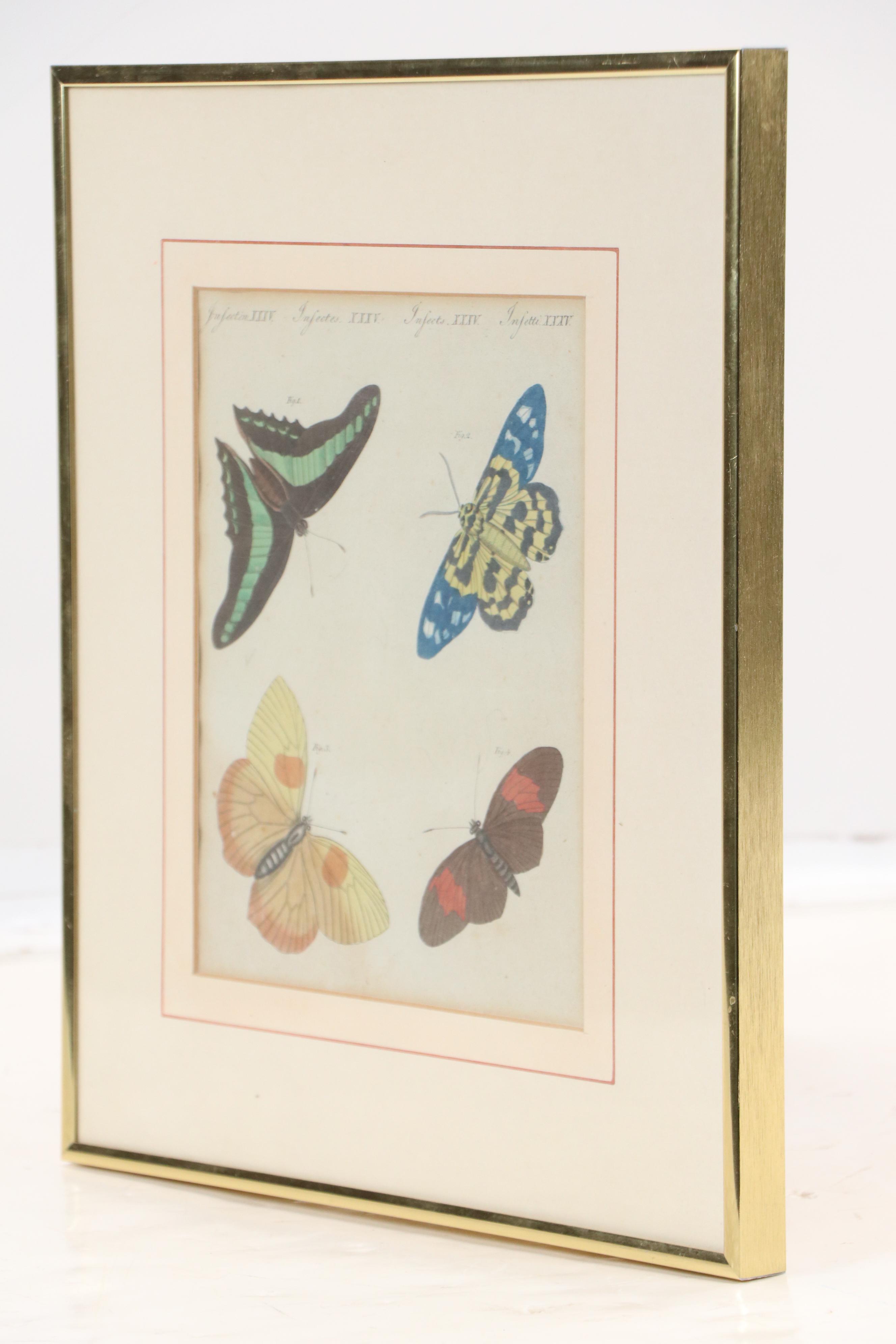 Hand-Colored Engraving of Butterflies from Bertuch’s Bilderbuch für Kinder