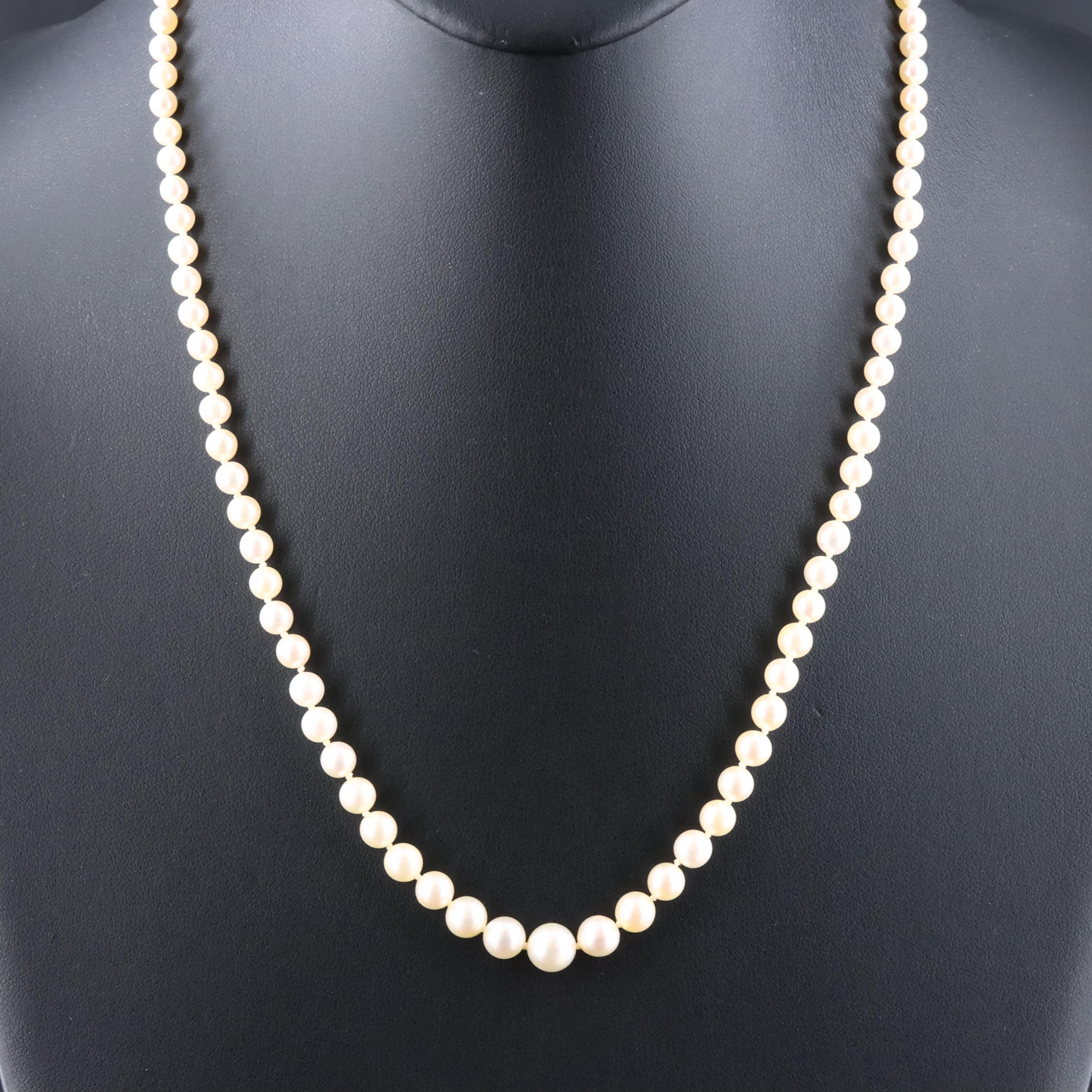 Graduated Pearl with 10K Clasp