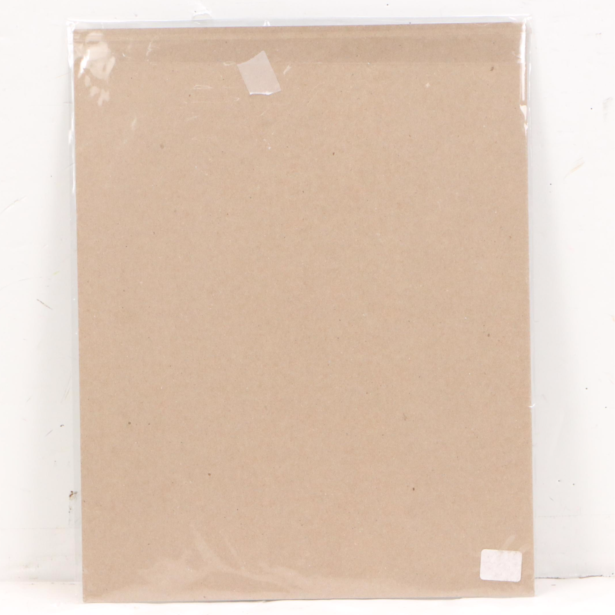 Digital Print of Suburban House, 21st Century