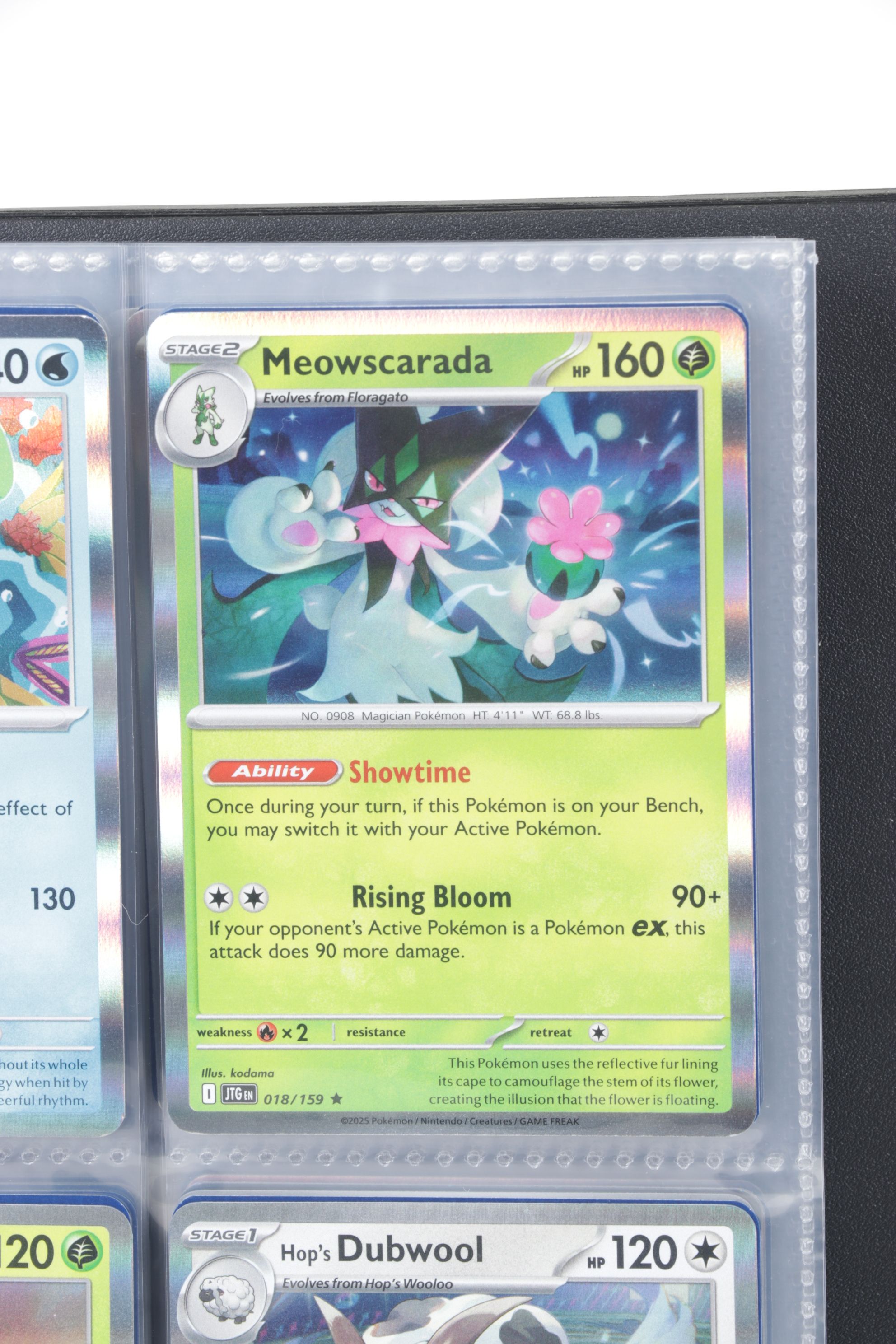 Pokémon Card Collection Featuring Holos and More, 1990s–2020s