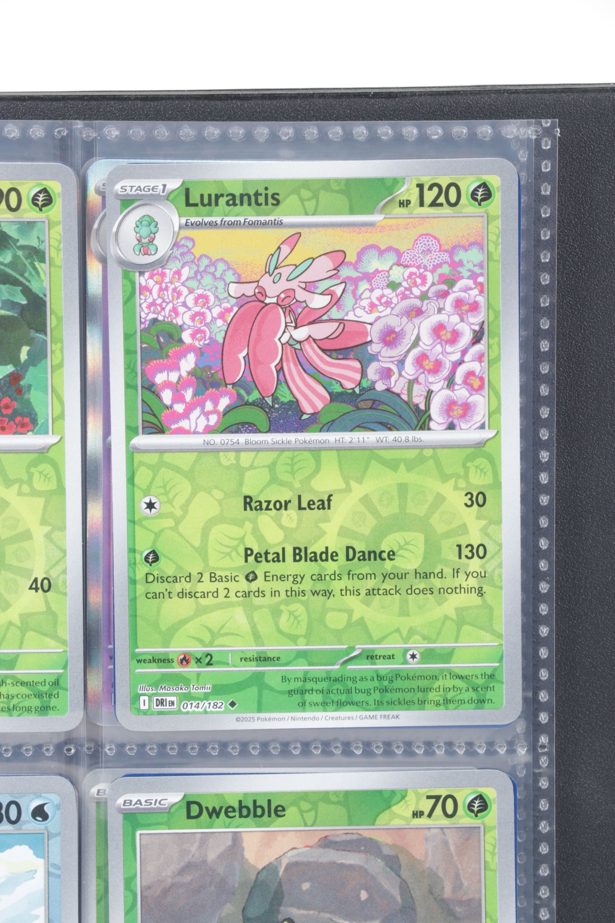 Pokémon Card Collection Featuring Holos and More, 1990s–2020s