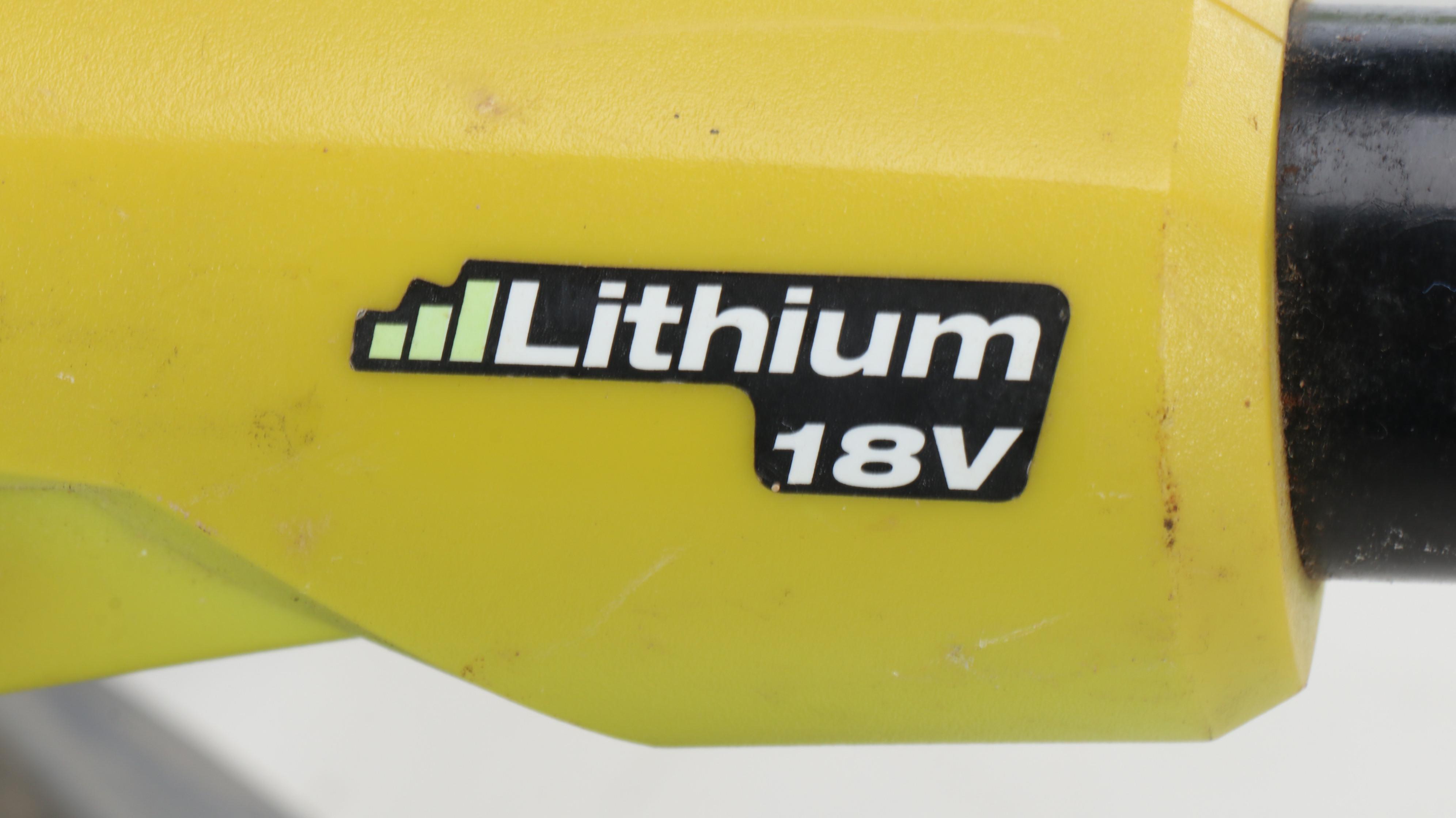 Ryobi Edge Trimmers with Voweek Vacuum Cleaner