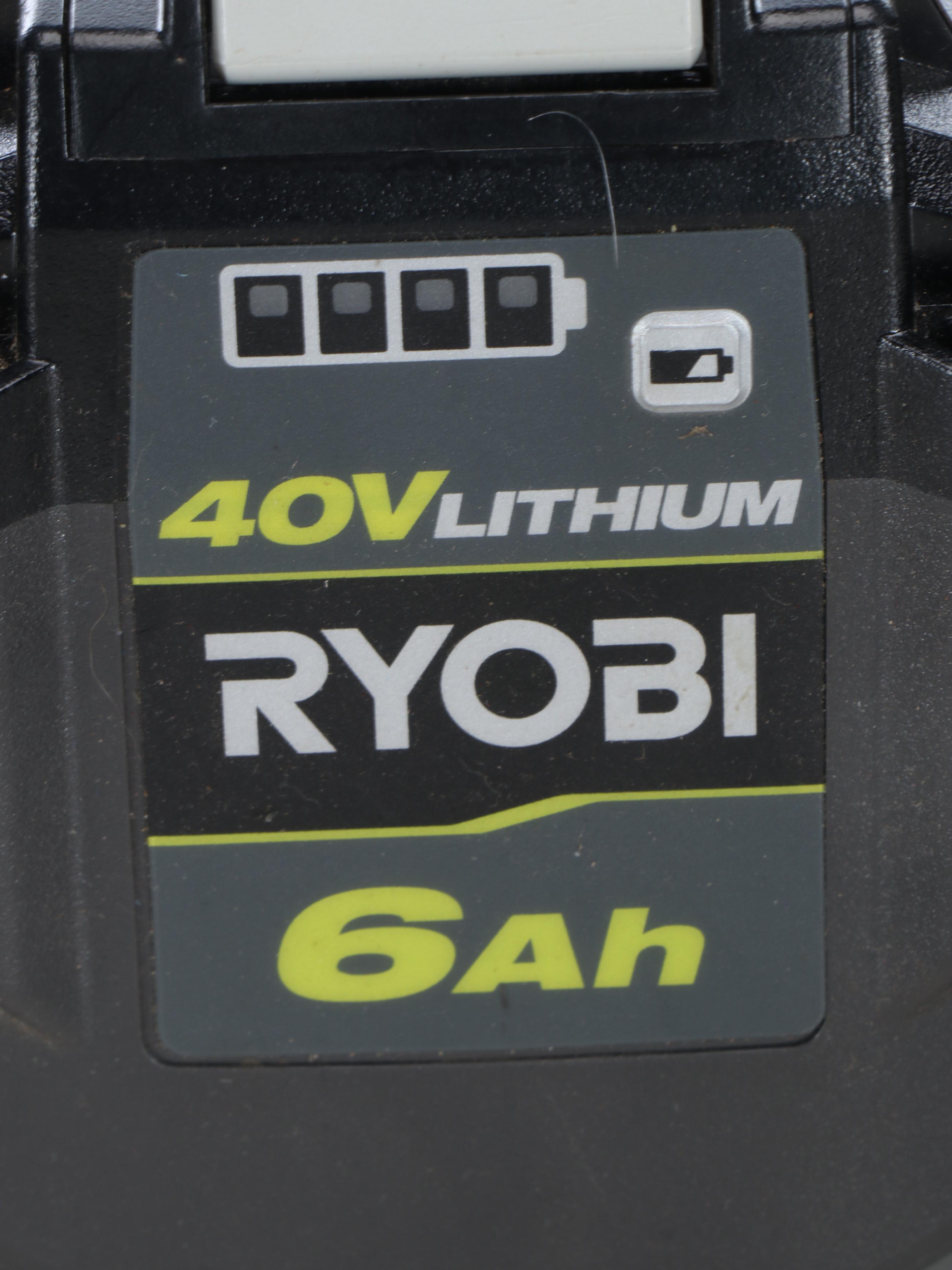 Ryobi Edge Trimmers with Voweek Vacuum Cleaner