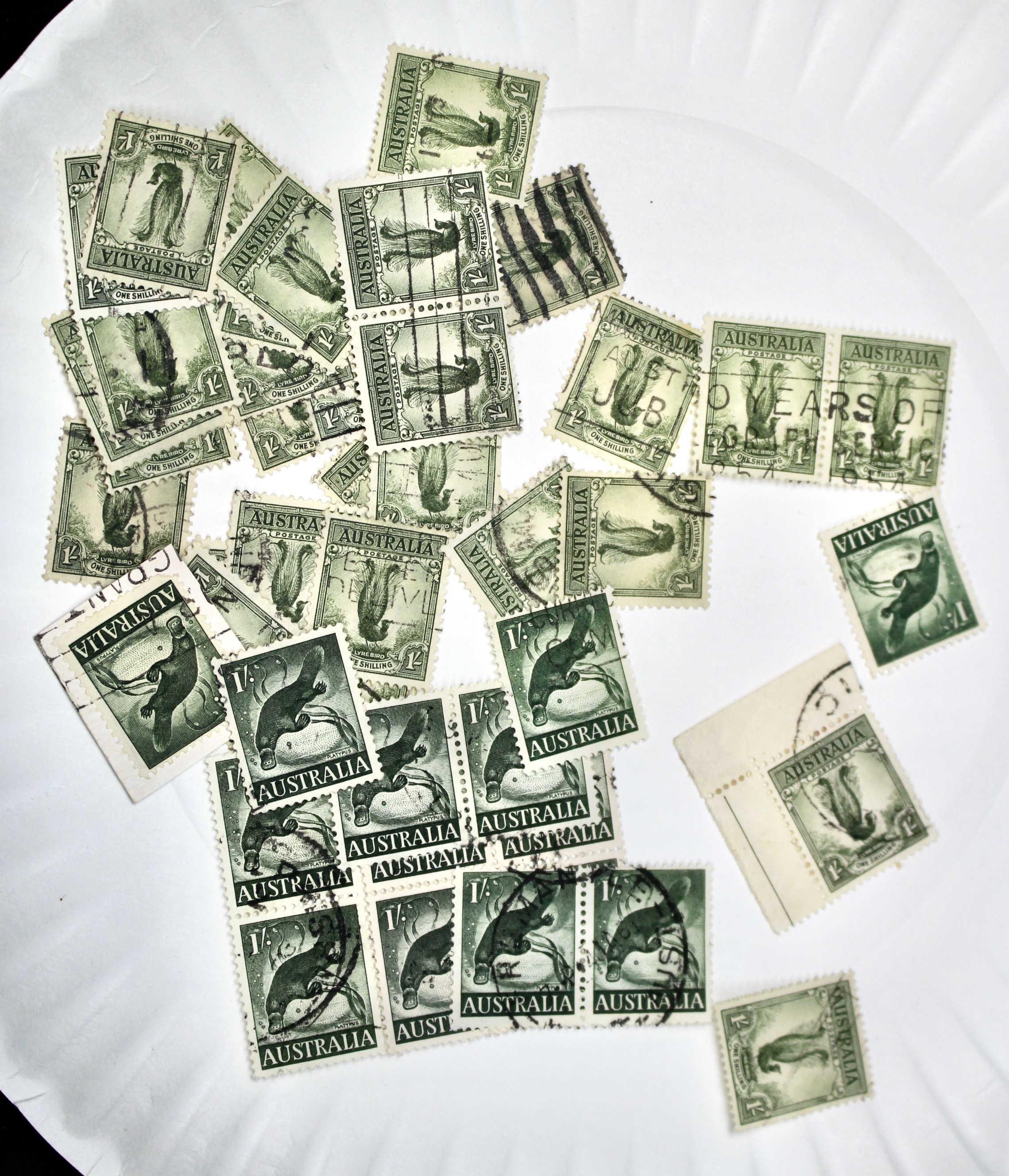 Large World-Wide Collection of 5,000 to 10,000 Postage Stamps