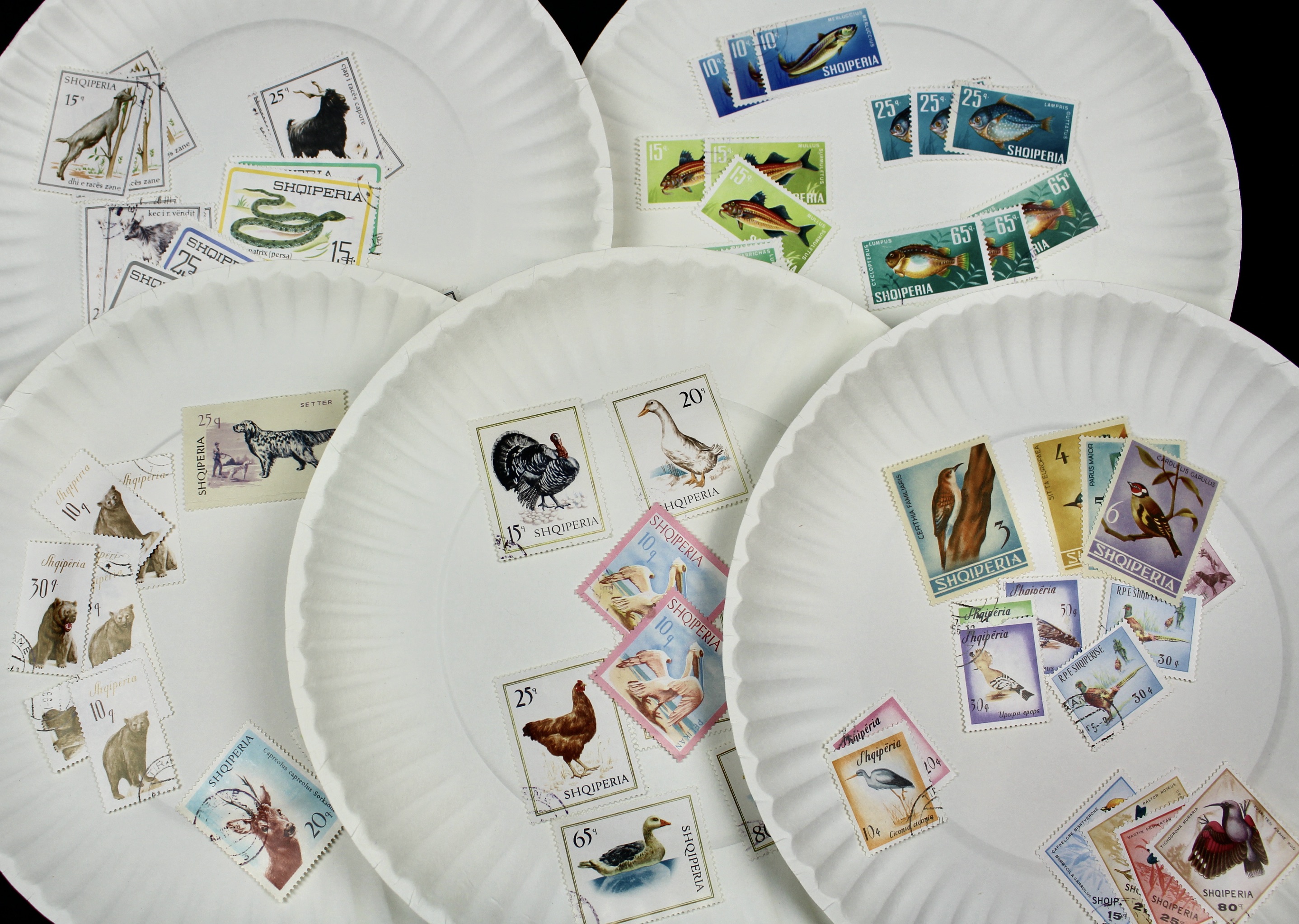 Large World-Wide Collection of 5,000 to 10,000 Postage Stamps