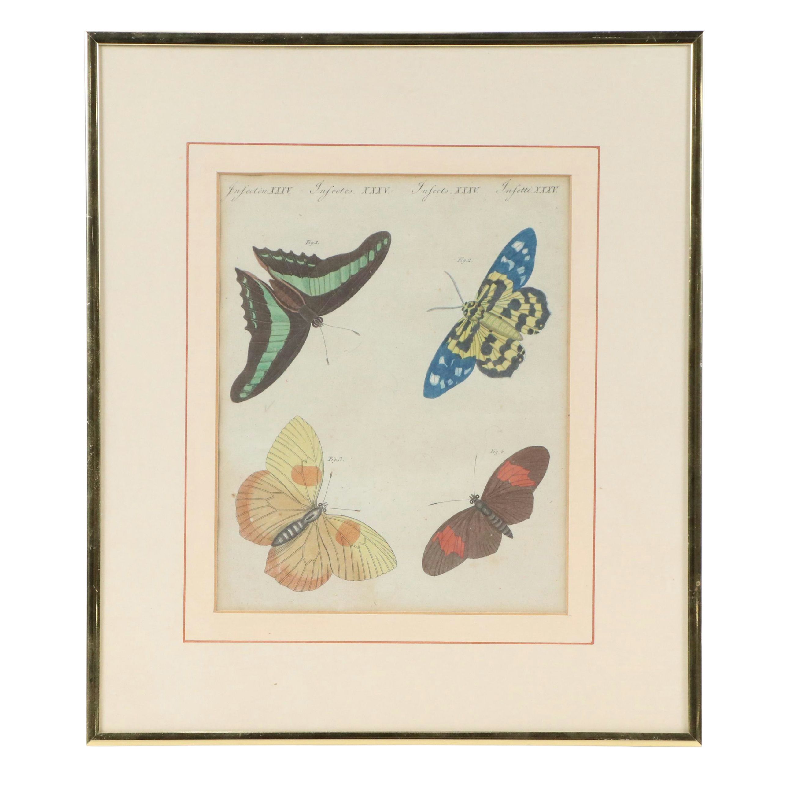 Hand-Colored Engraving of Butterflies from Bertuch’s Bilderbuch für Kinder