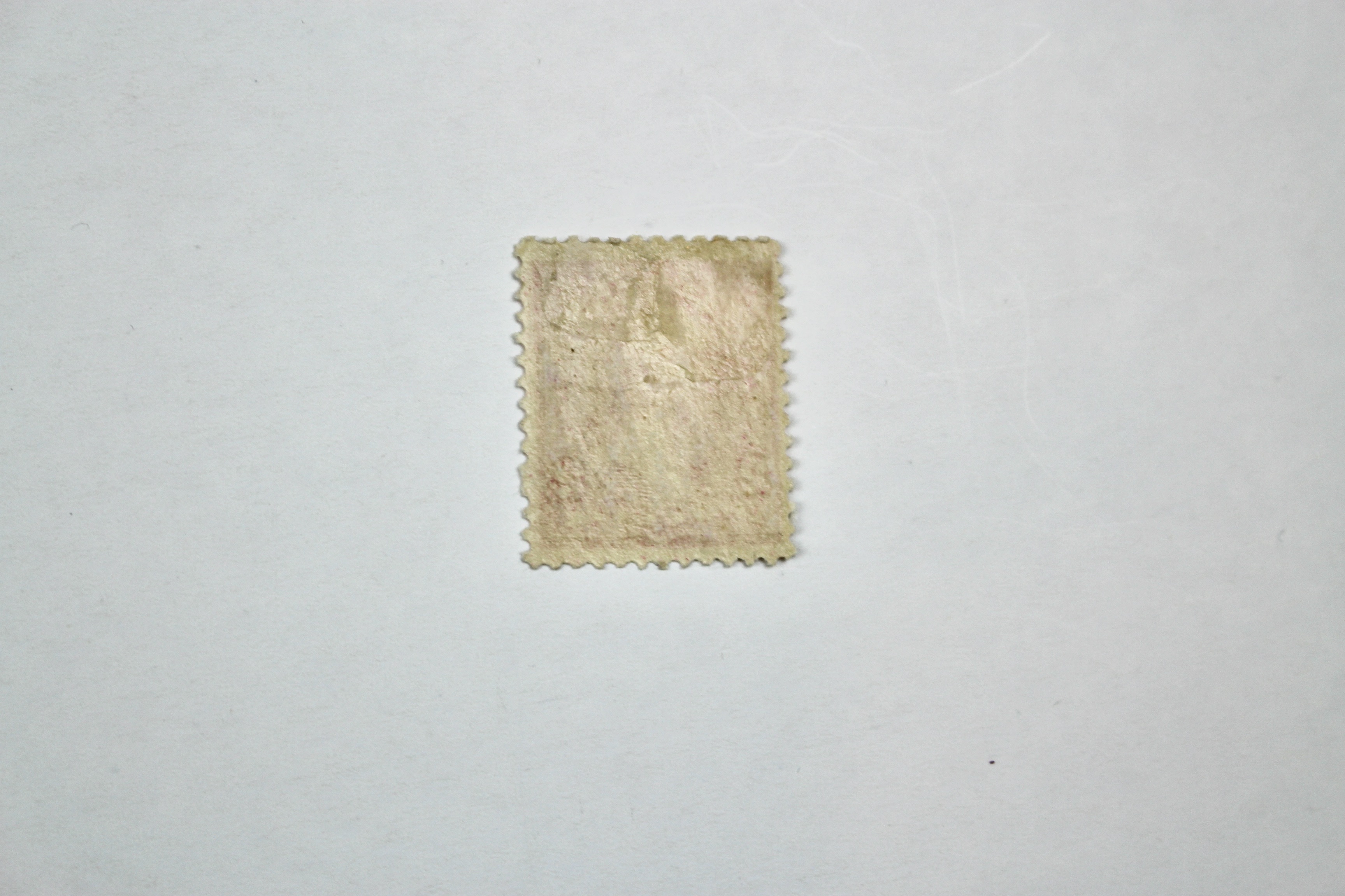 Five Mint Condition 1894 Regular Issue U.S. Postage Stamps