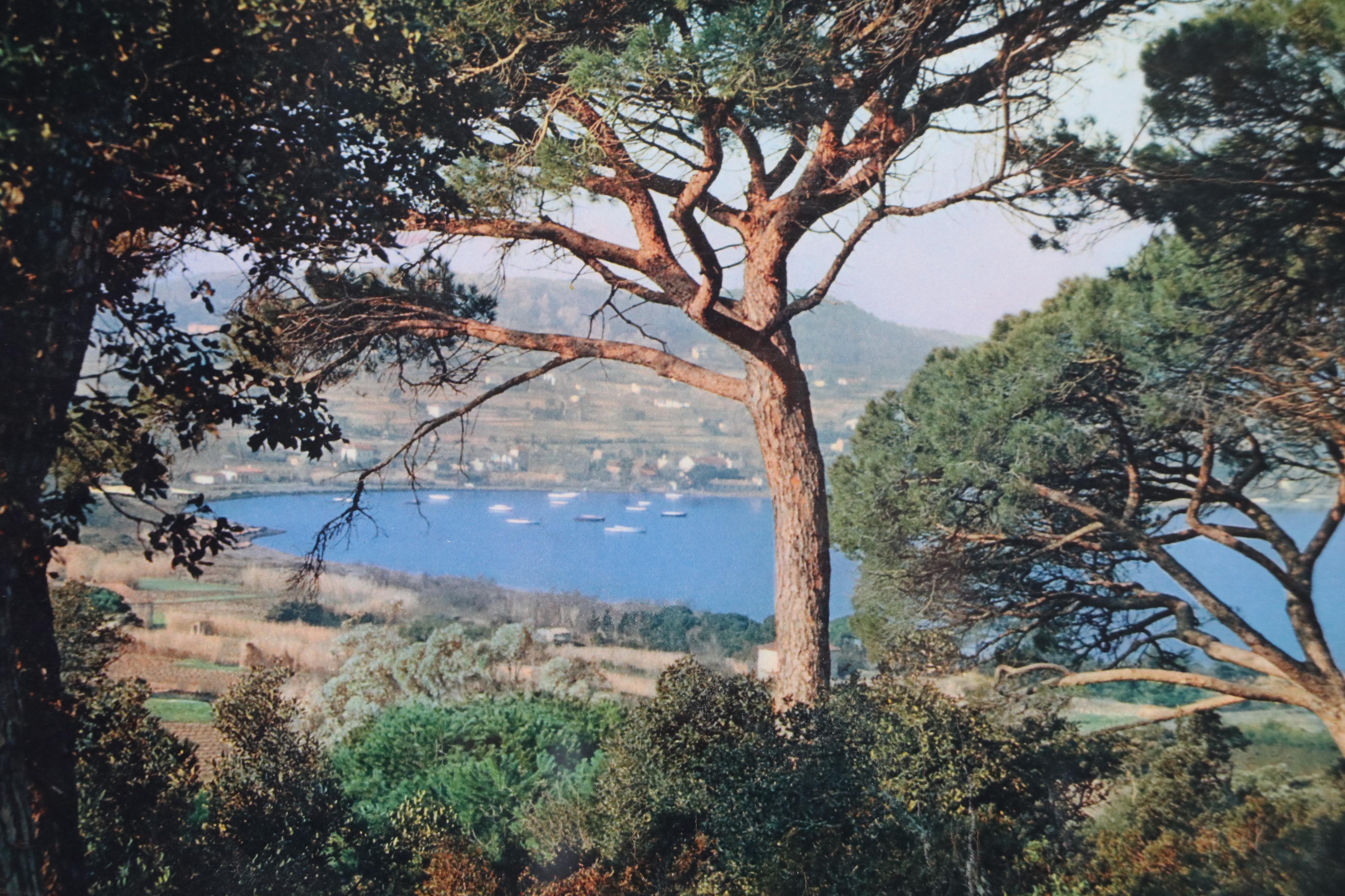 Offset Lithograph Travel Poster "Les Parcs de Saint-Tropez," Mid-20th Century