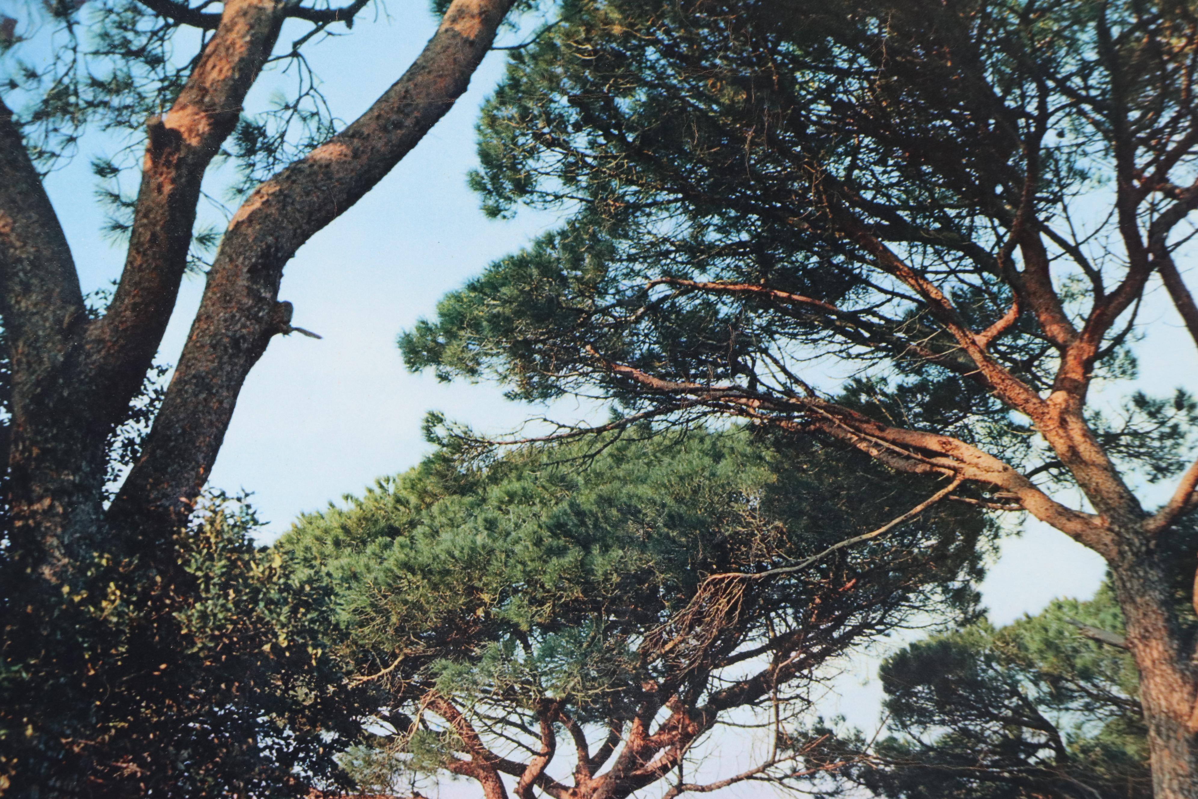 Offset Lithograph Travel Poster "Les Parcs de Saint-Tropez," Mid-20th Century