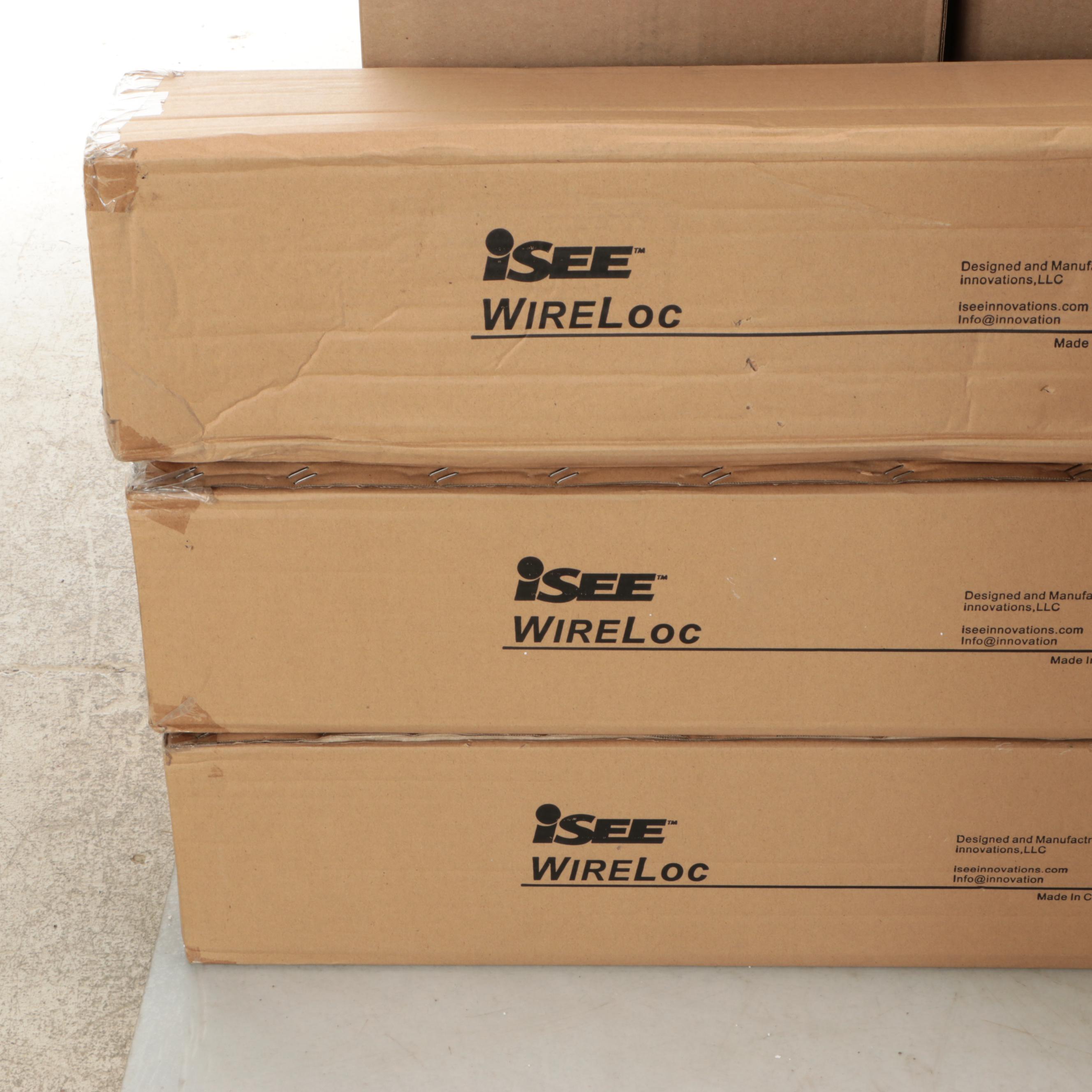 Fireball Whiskey and Burst Liquor Store Displays