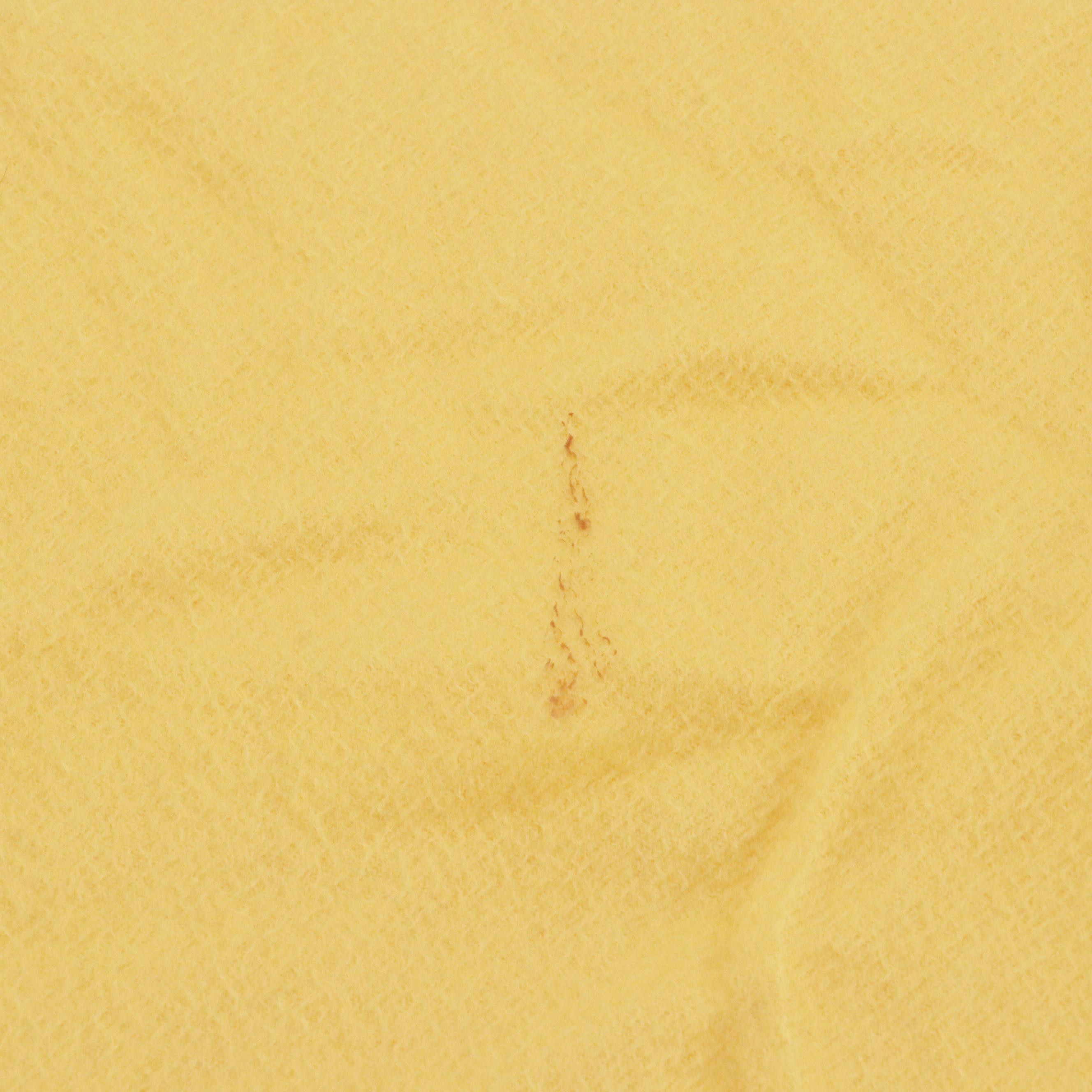 Loro Piana Cashmere Fringe Scarf in Yellow