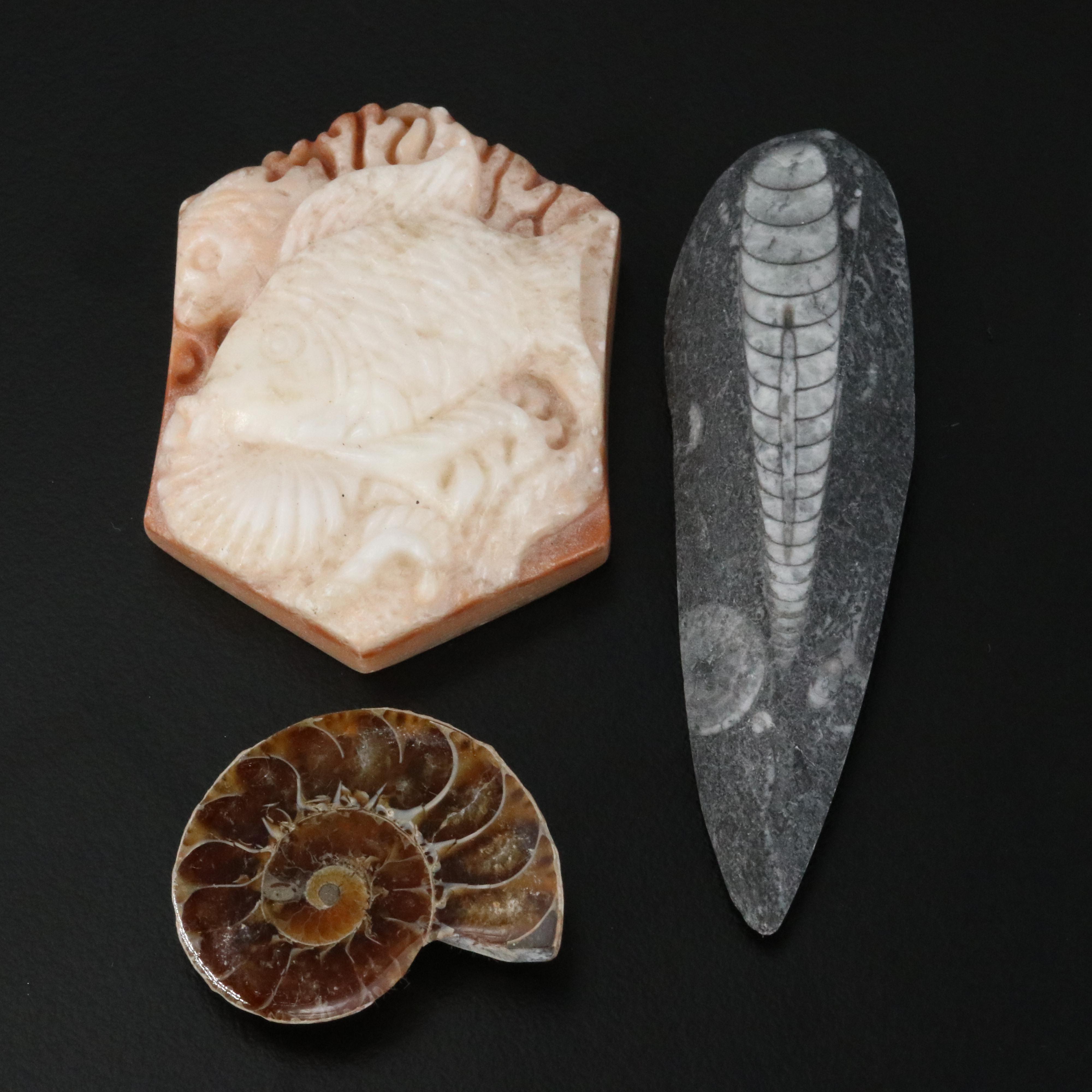 Loose Carved Calcite Cameo, Ammonite and Orthoceras Fossil