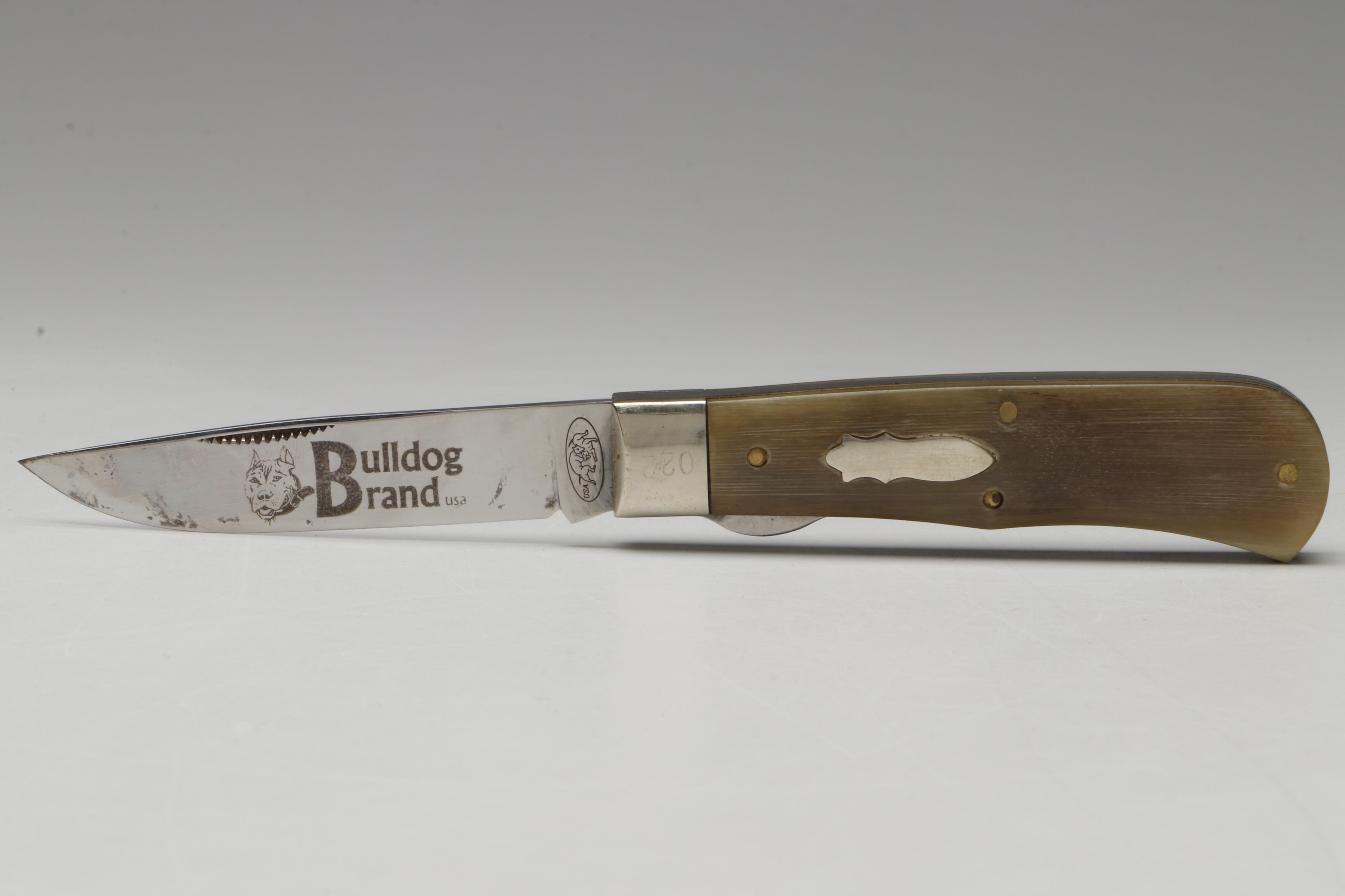Bulldog Brand Horn Handled Folding Knife