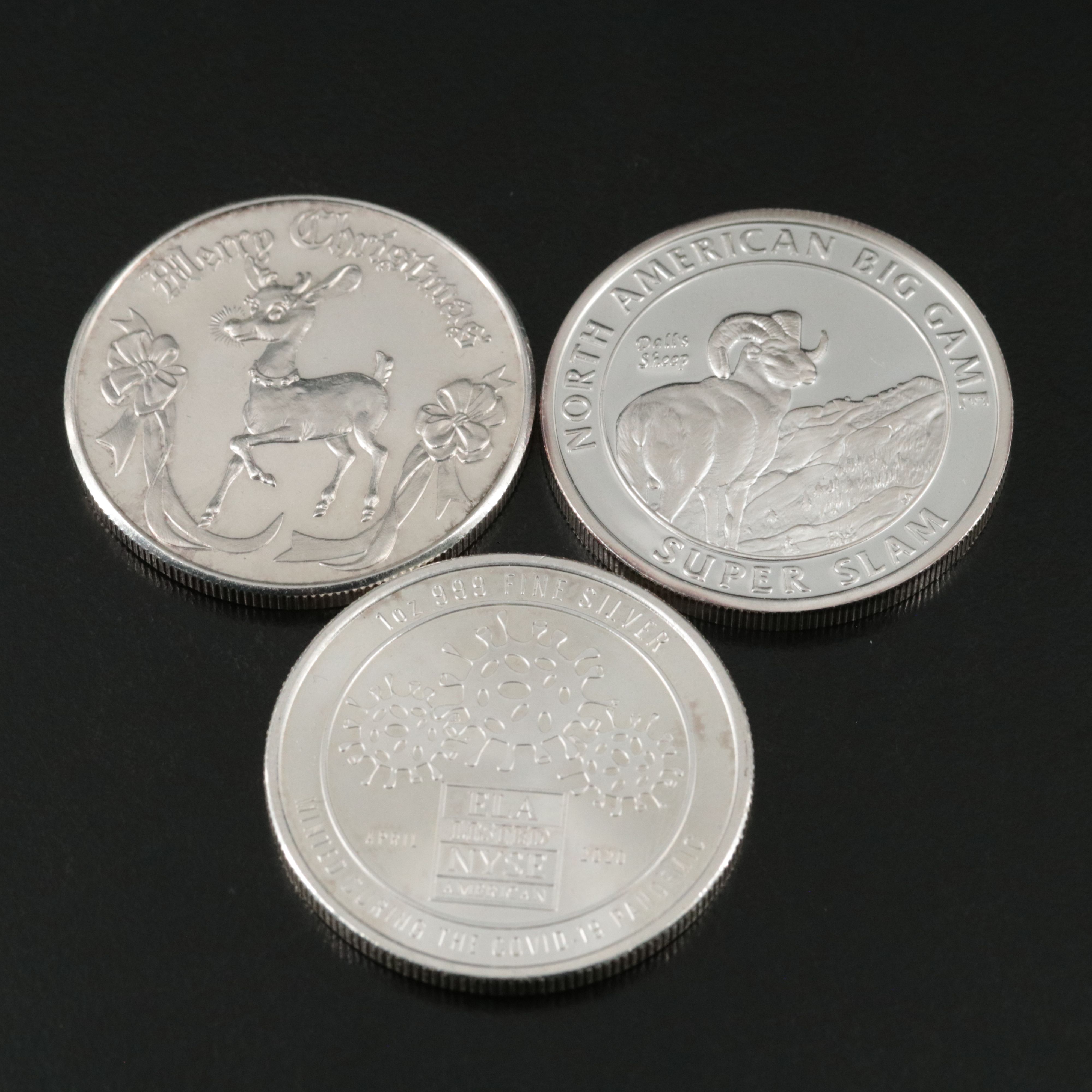 Ten One-Ounce Fine Silver Rounds