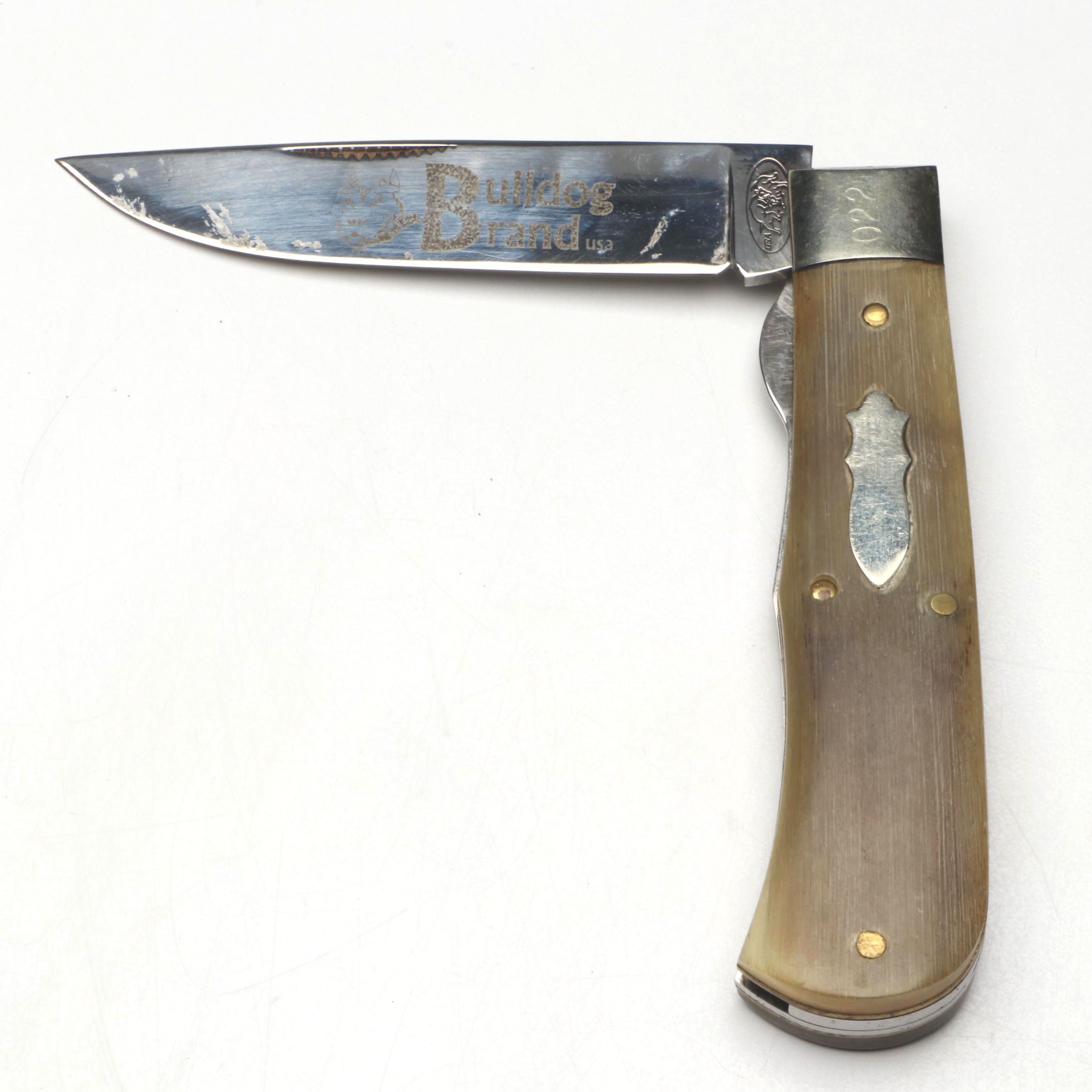 Bulldog Brand Horn Handled Folding Knife