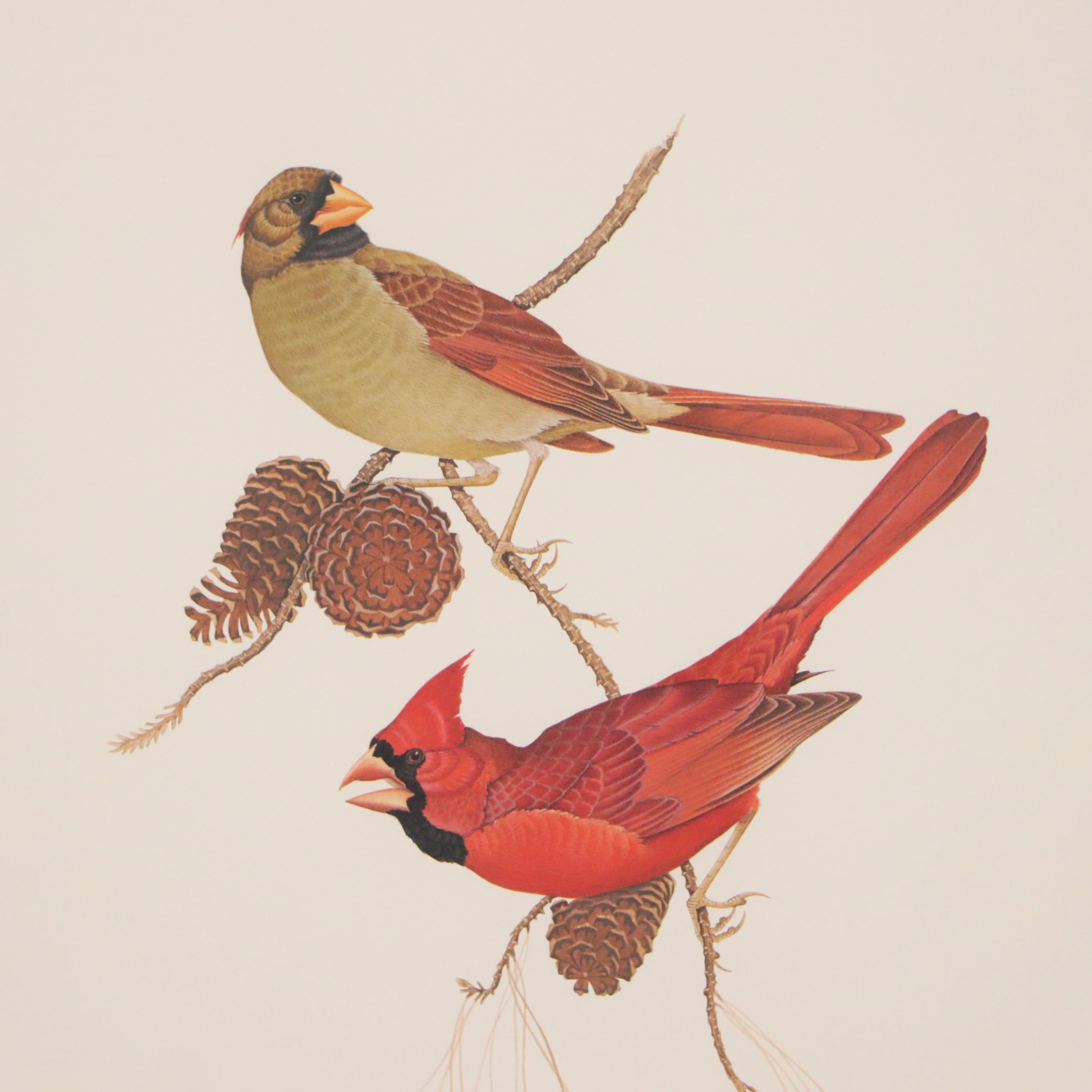 Richard Sloan Offset Lithograph "Cardinal" and Other Cardinal Prints