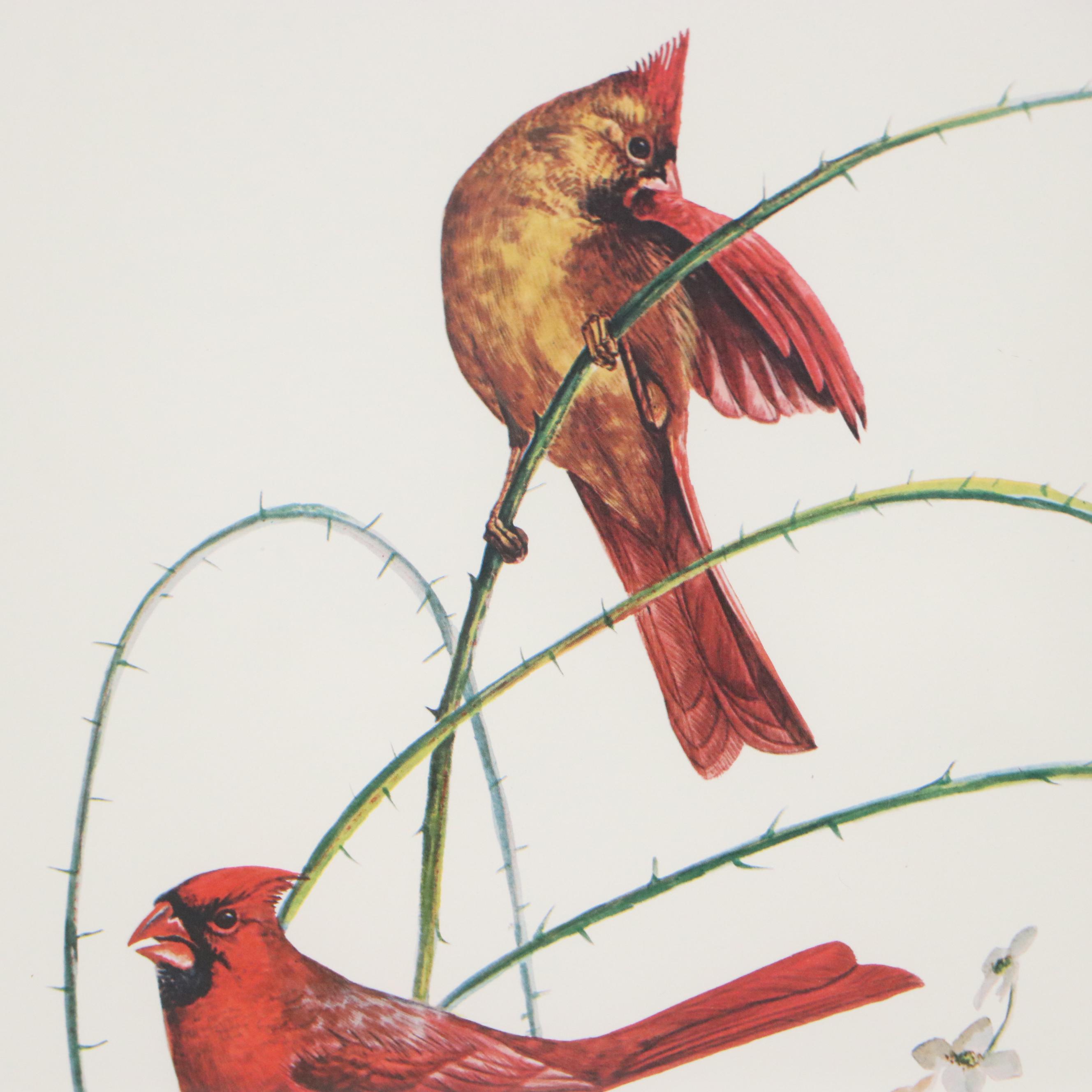 Richard Sloan Offset Lithograph "Cardinal" and Other Cardinal Prints