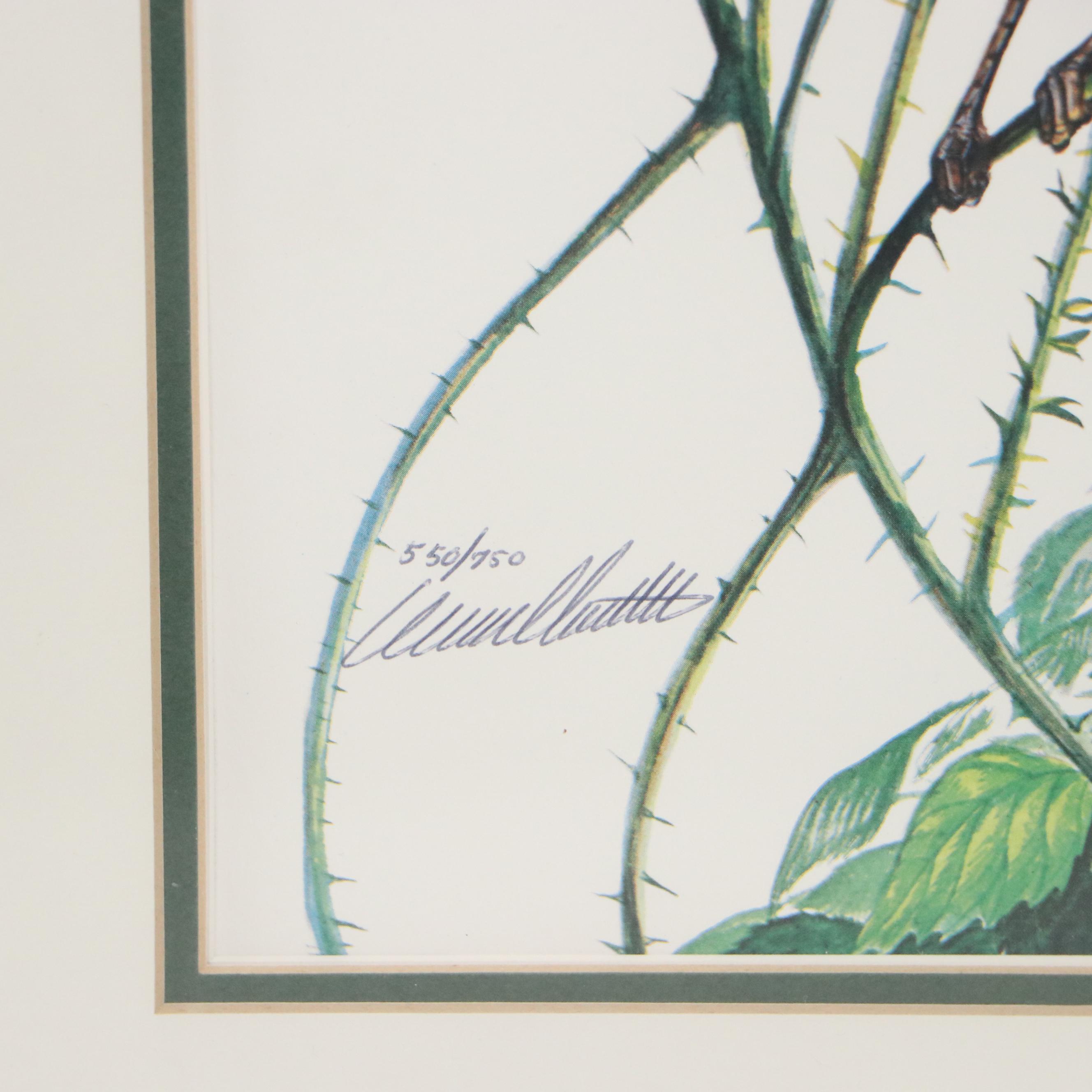 Richard Sloan Offset Lithograph "Cardinal" and Other Cardinal Prints