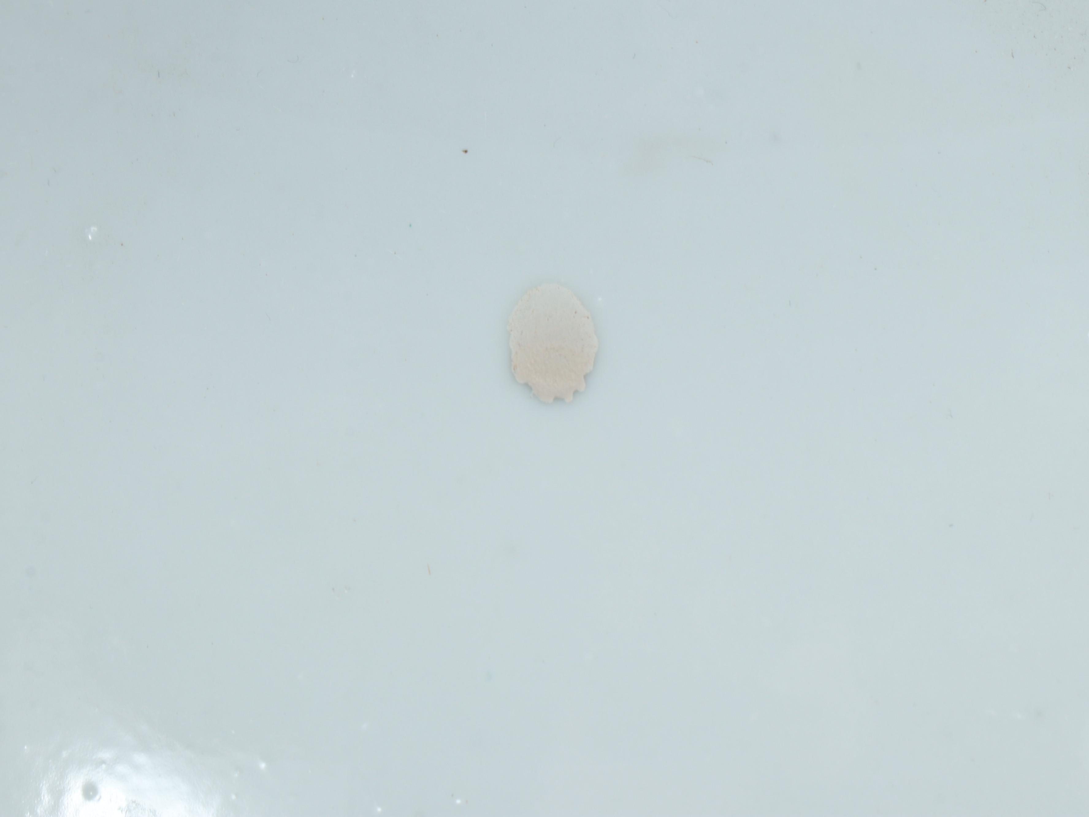 Chinese Late Qing/Early Republic Bird Motif Porcelain Vase