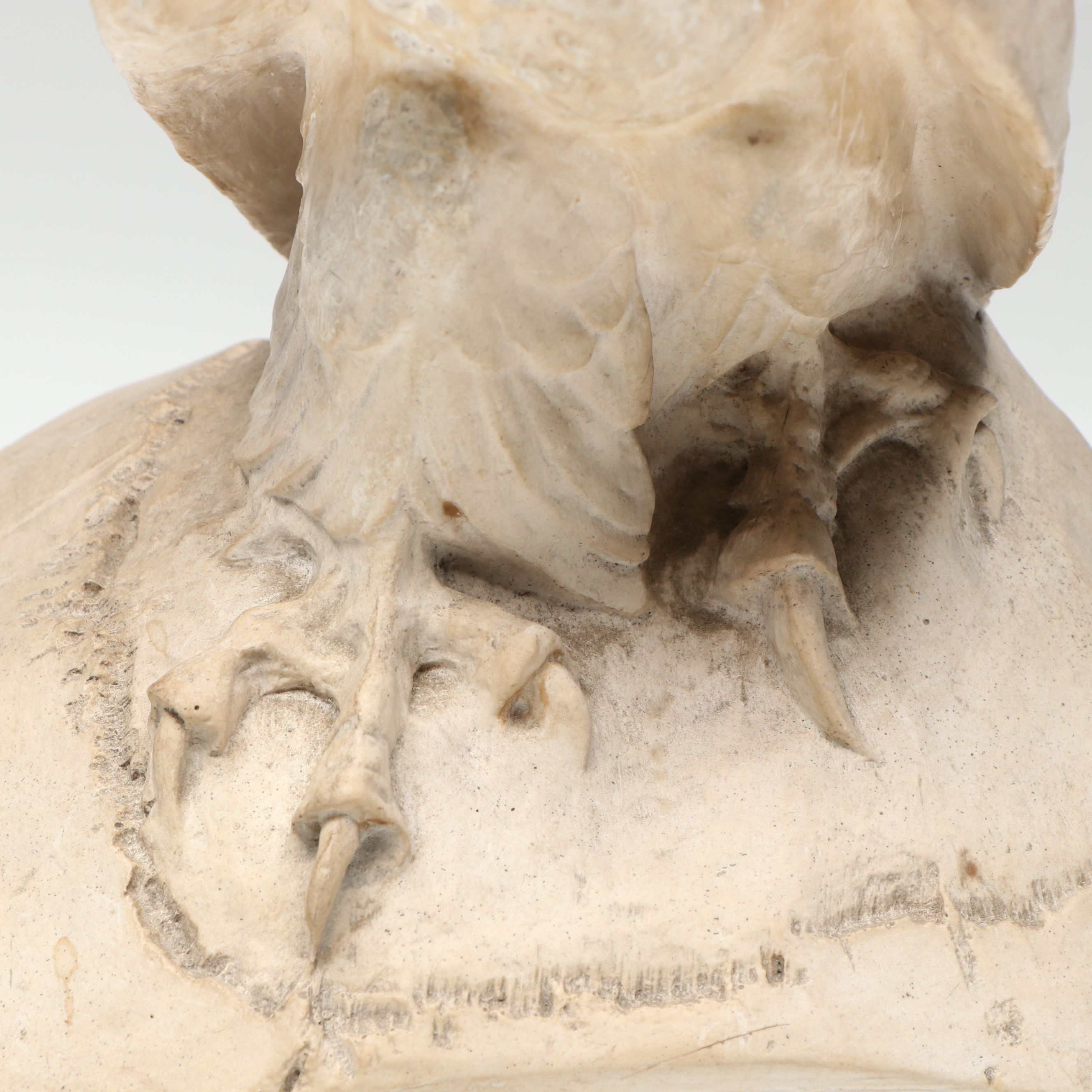 Horatio Piccirilli Plaster Eagle Sculpture, Early 20th Century