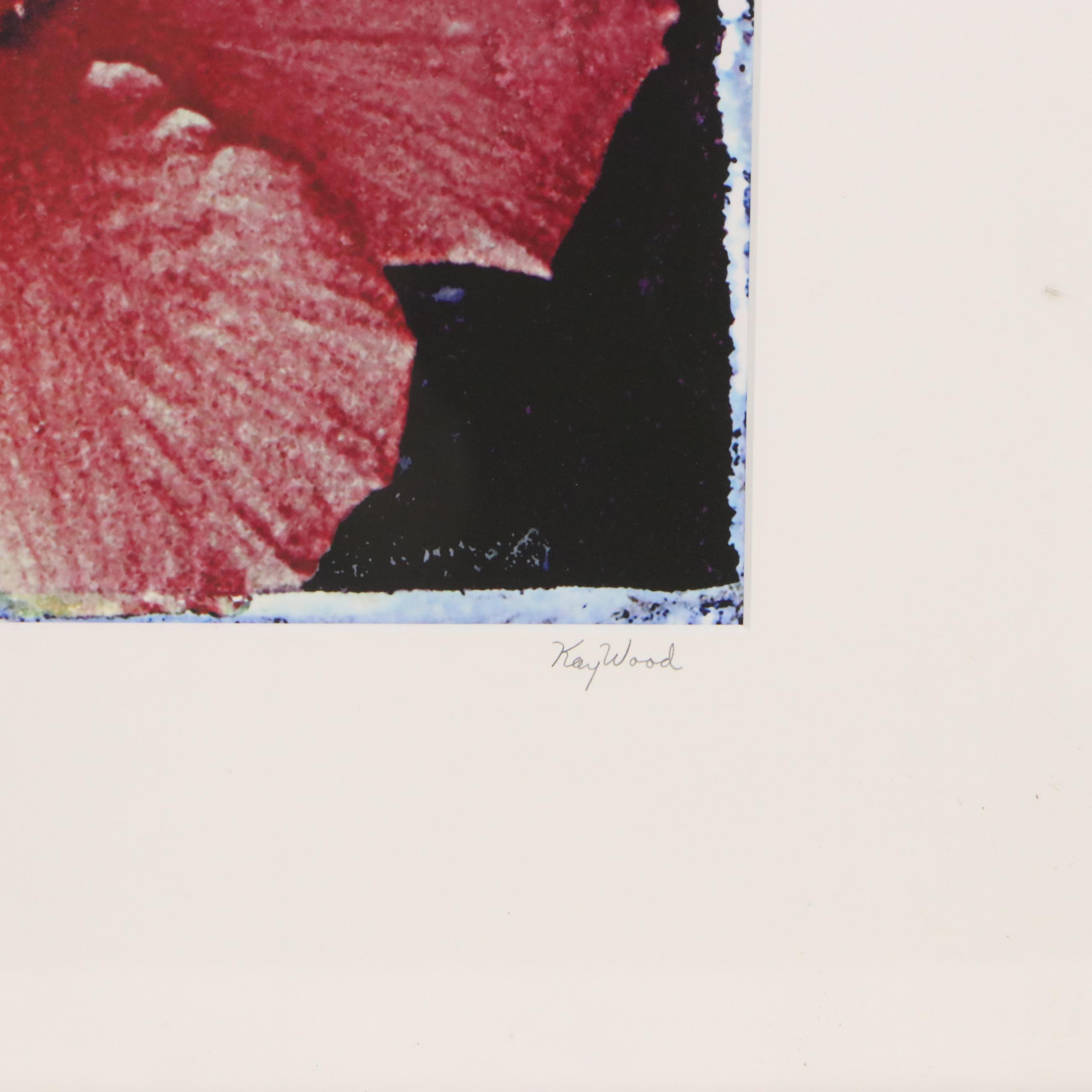 Kay Wood Polaroid Transfer Print "Hibiscus," 21st Century