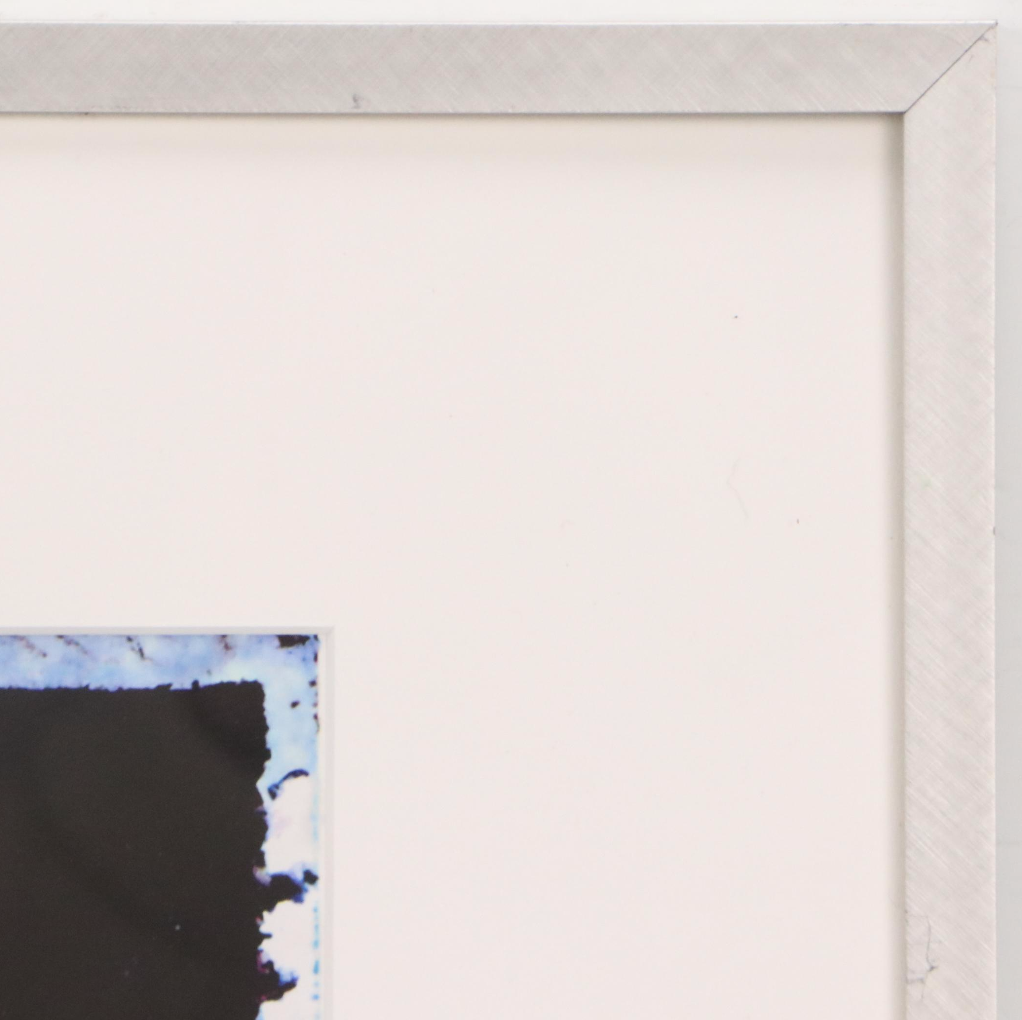 Kay Wood Polaroid Transfer Print "Hibiscus," 21st Century