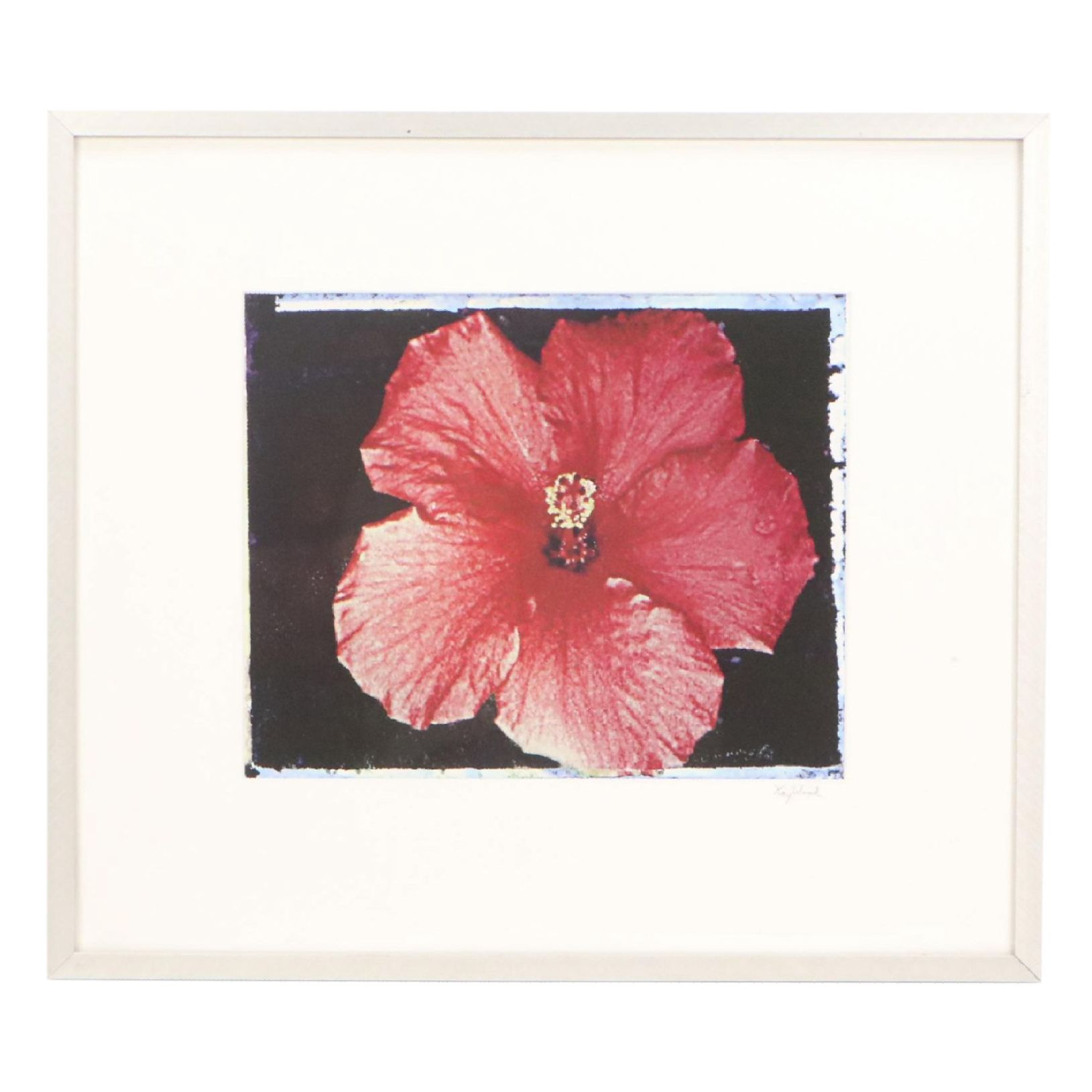 Kay Wood Polaroid Transfer Print "Hibiscus," 21st Century