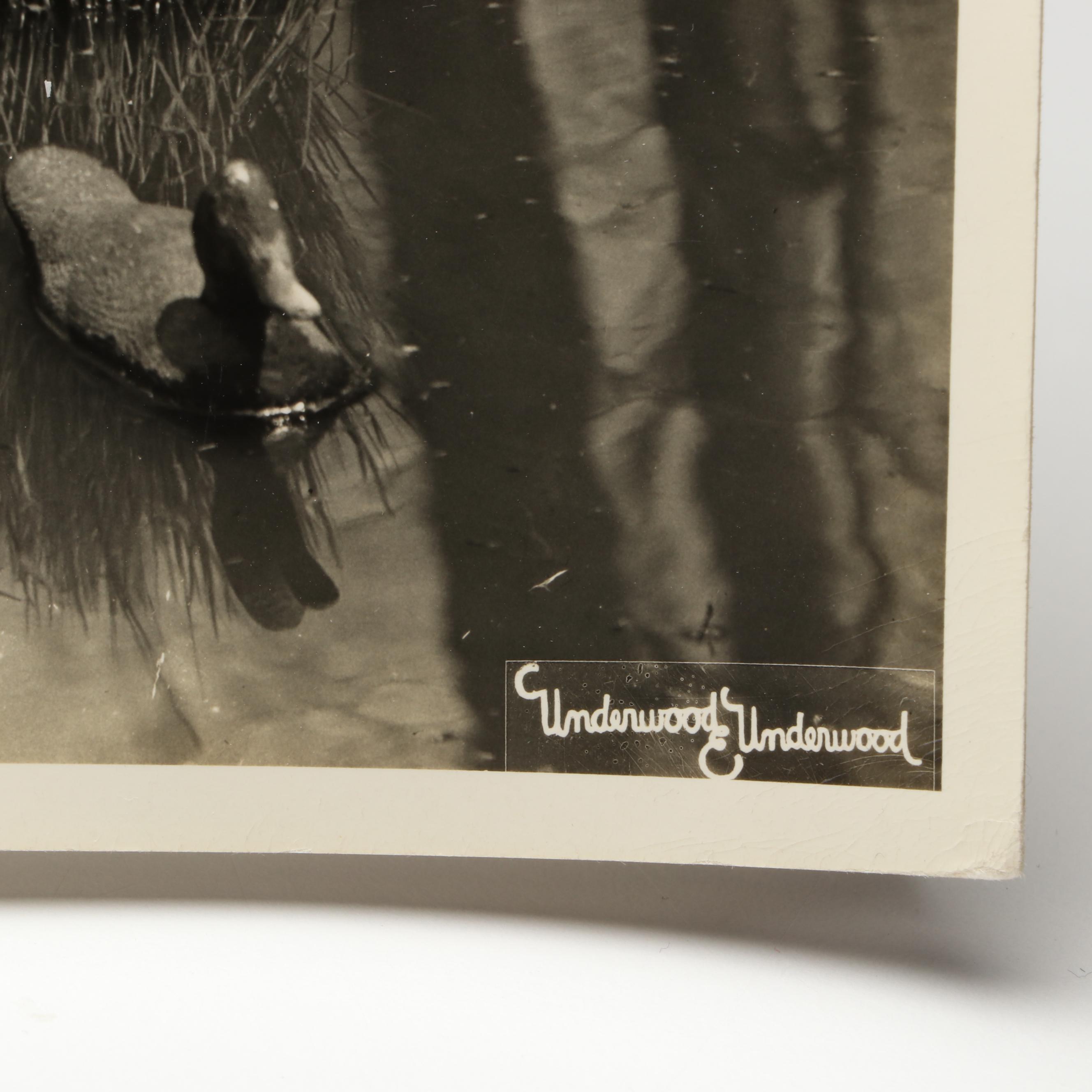 Silver Gelatin Hunting Scenes, Motor Racing and More Photographs