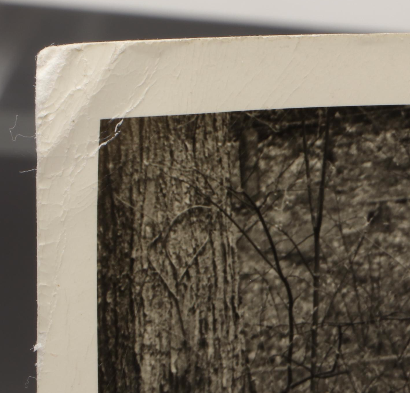 Silver Gelatin Hunting Scenes, Motor Racing and More Photographs