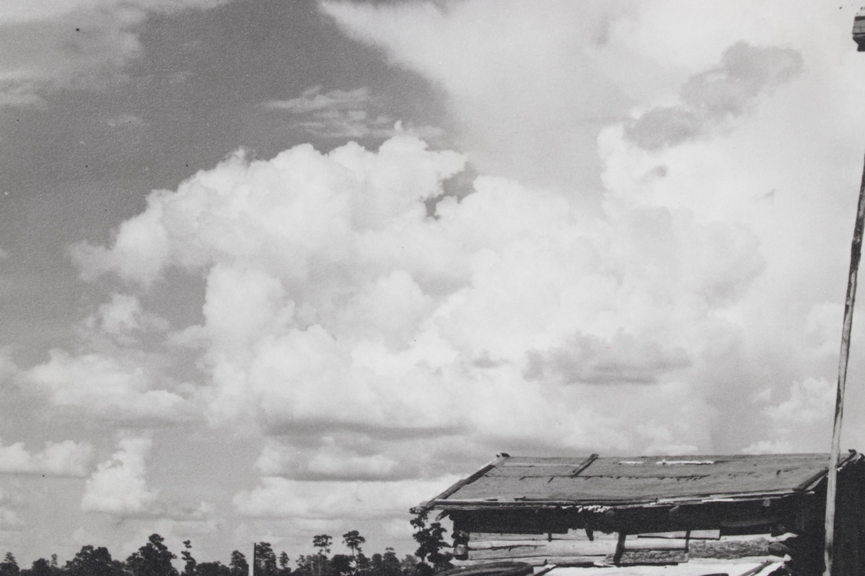 Dorothea Lange Landscape Photograph "Sharecropper's Cabin", Early 21st Century