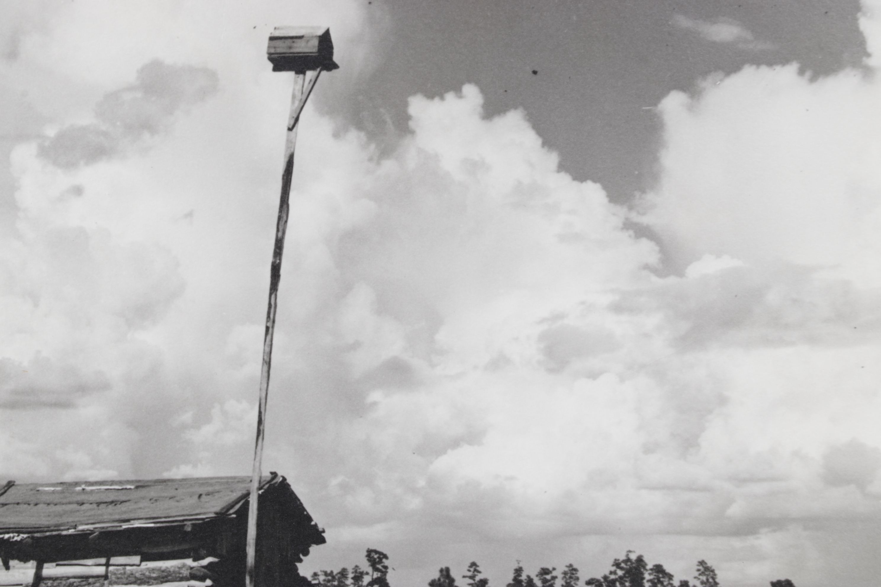Dorothea Lange Landscape Photograph "Sharecropper's Cabin", Early 21st Century