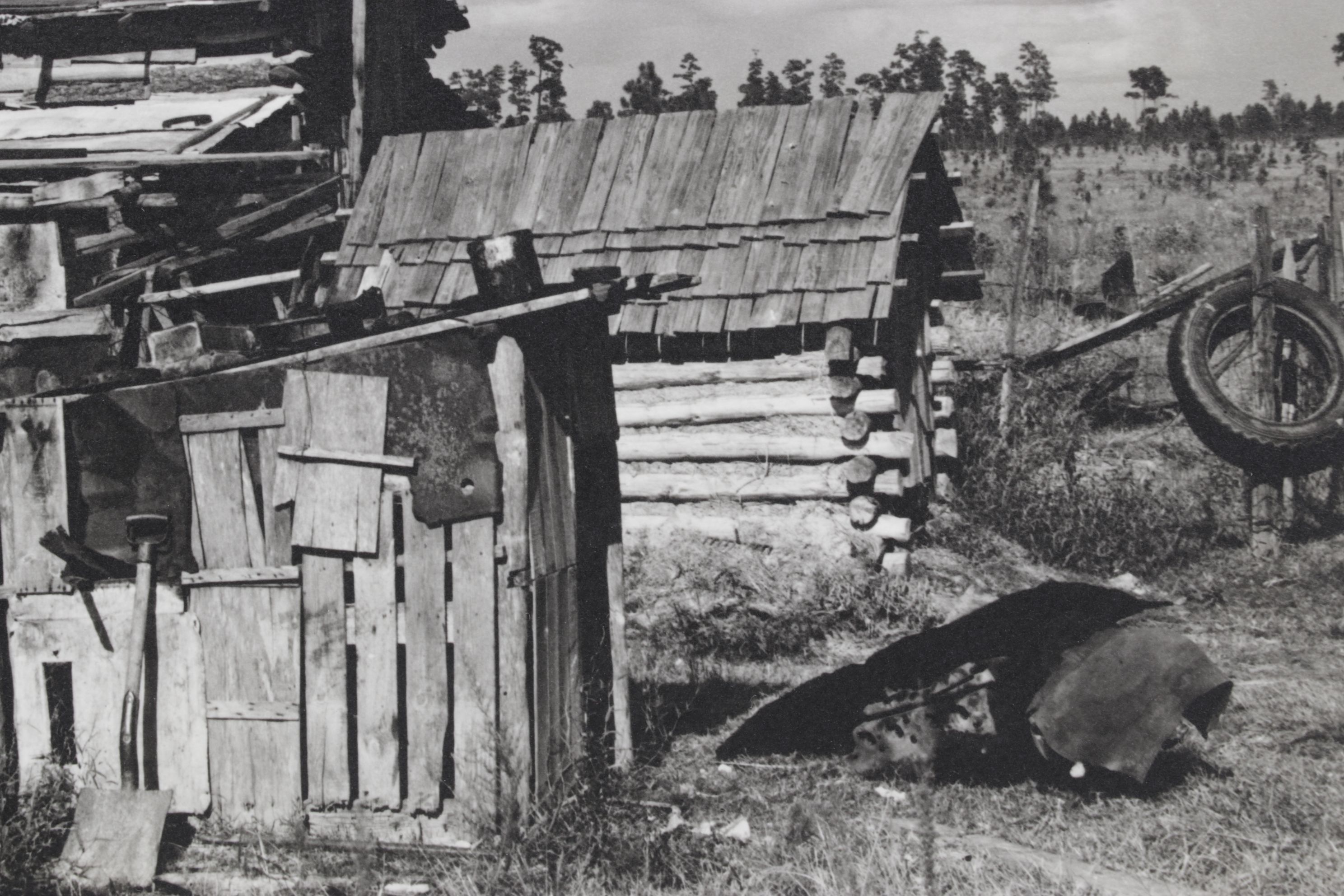 Dorothea Lange Landscape Photograph "Sharecropper's Cabin", Early 21st Century