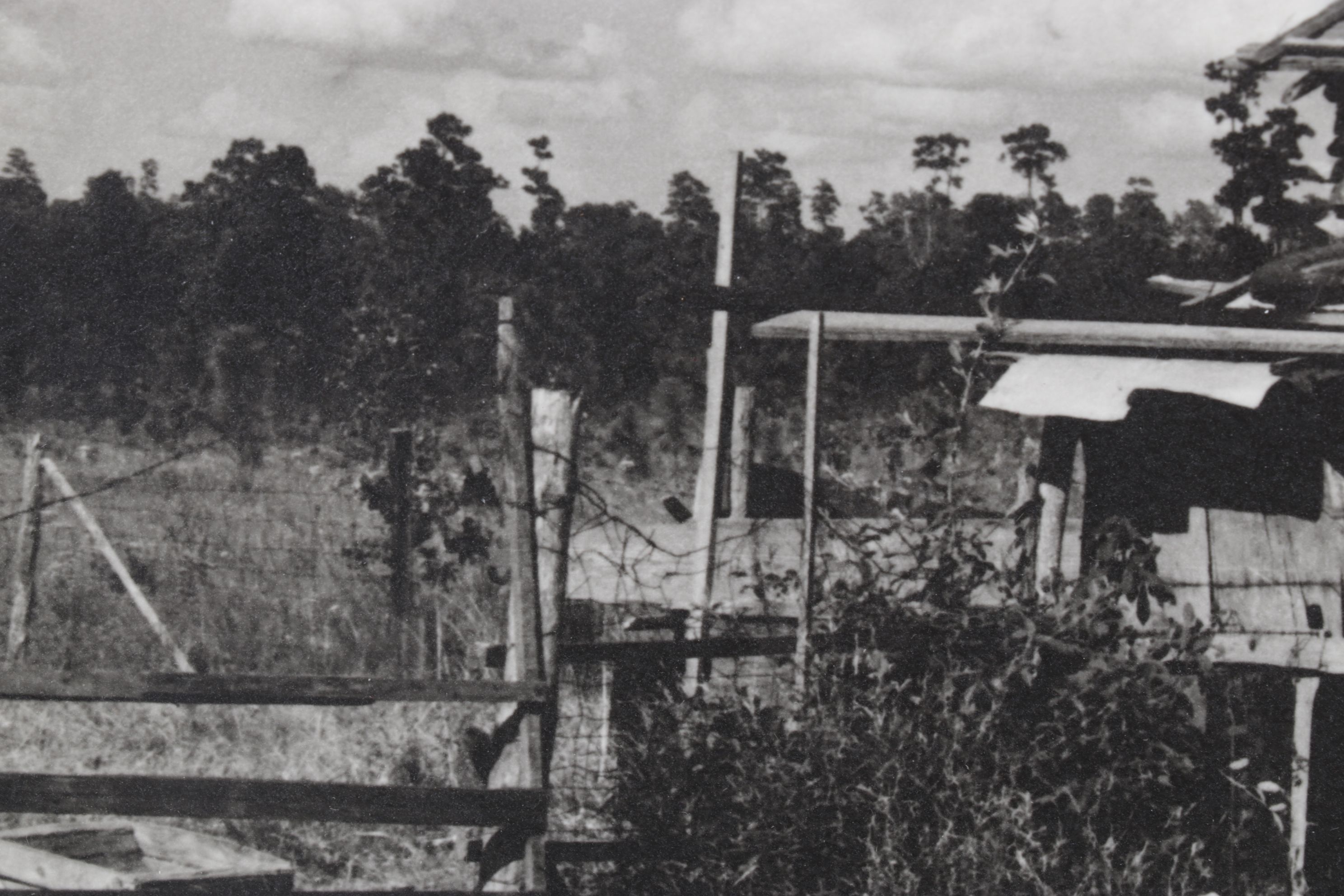 Dorothea Lange Landscape Photograph "Sharecropper's Cabin", Early 21st Century
